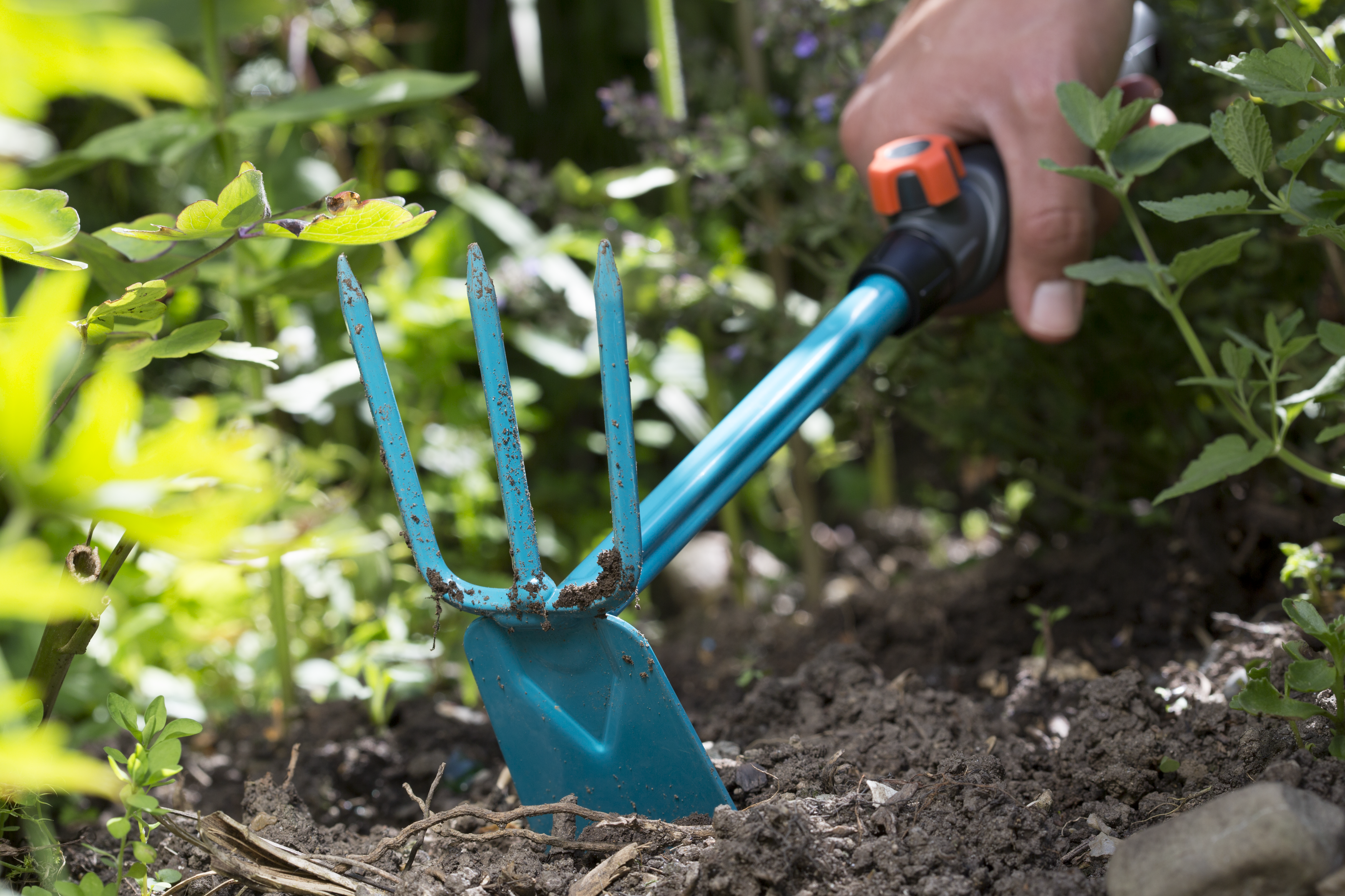 Zappetta combisystem