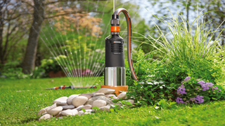 01499-20-L-012-38cm.eps