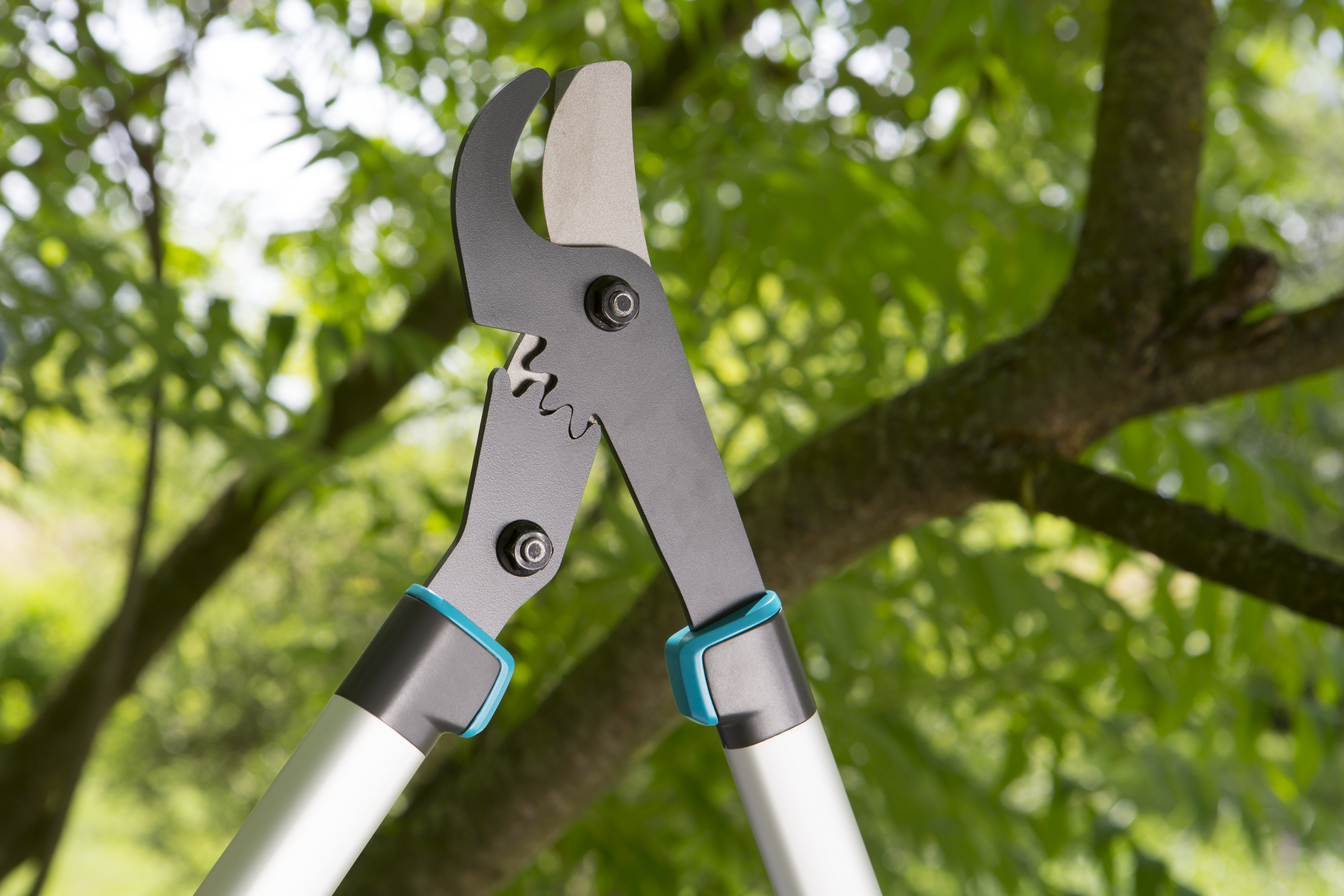 Nůžky na větve EnergyCut 600 B