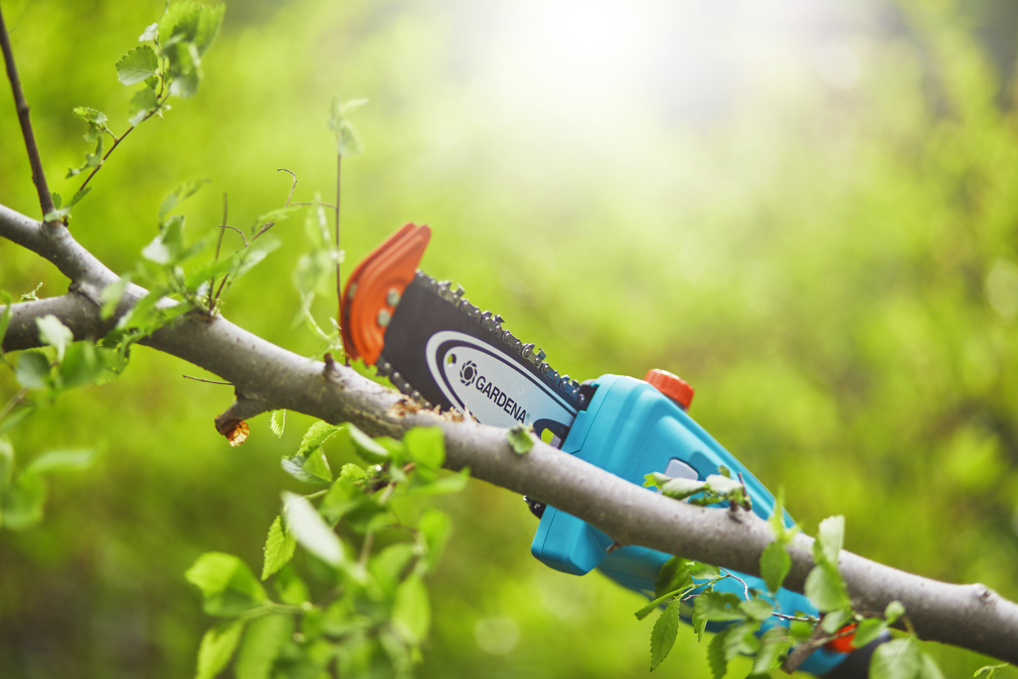 Potatore telescopico TCS 20/18V P4A Set pronto all&rsquo;uso