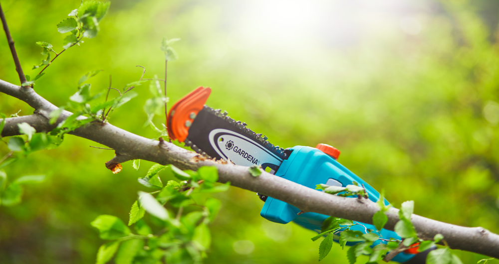 Battery Telescopic Pruner TCS 20/18V P4A solo