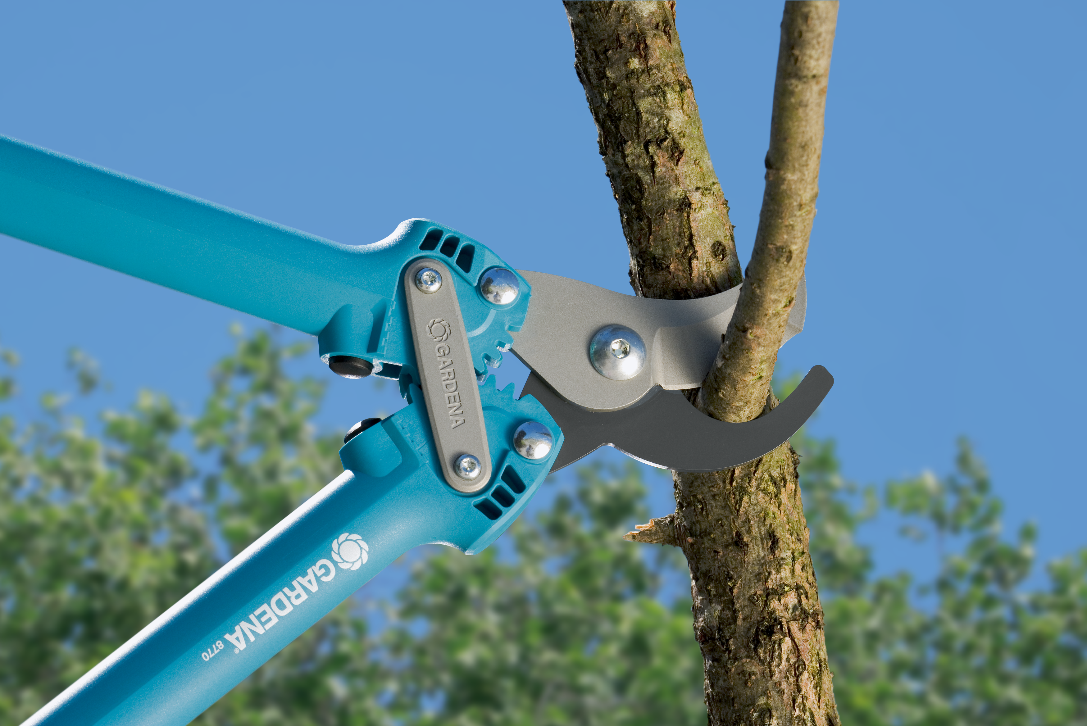 Zaru grieznes Comfort 500 BL