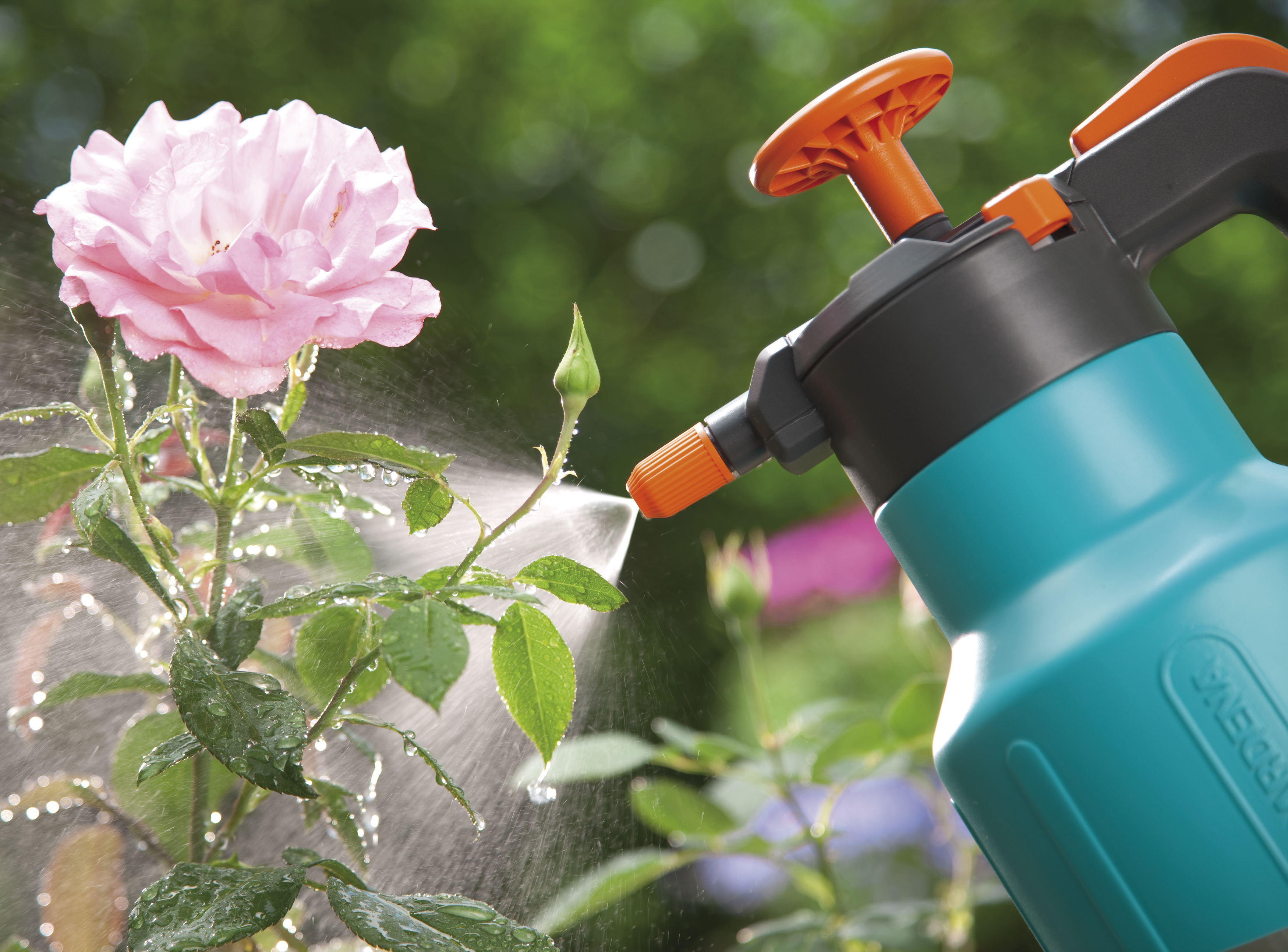 Comfort Pressure Sprayer 1.25 l