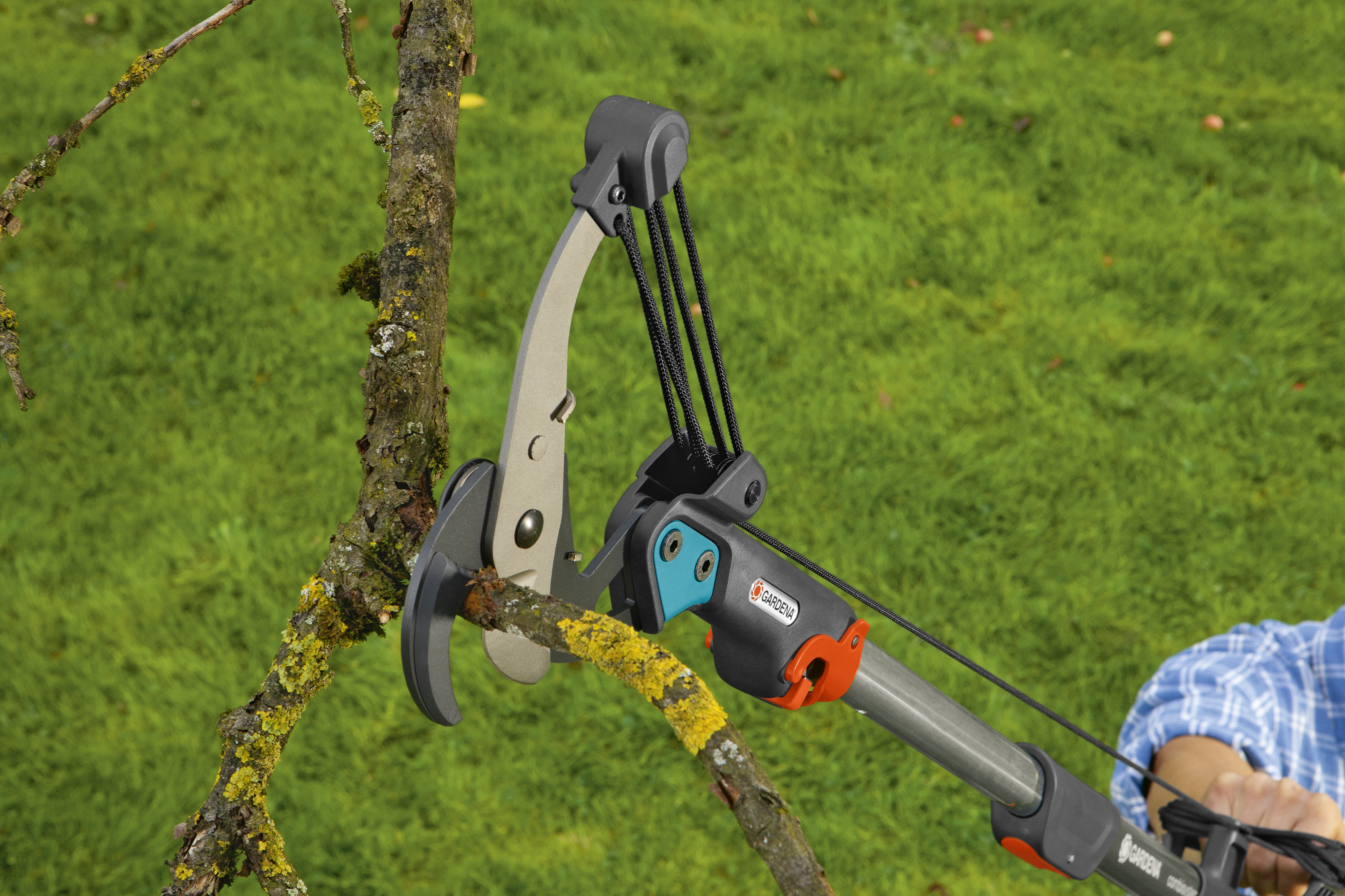 Anvil Branch Pruner