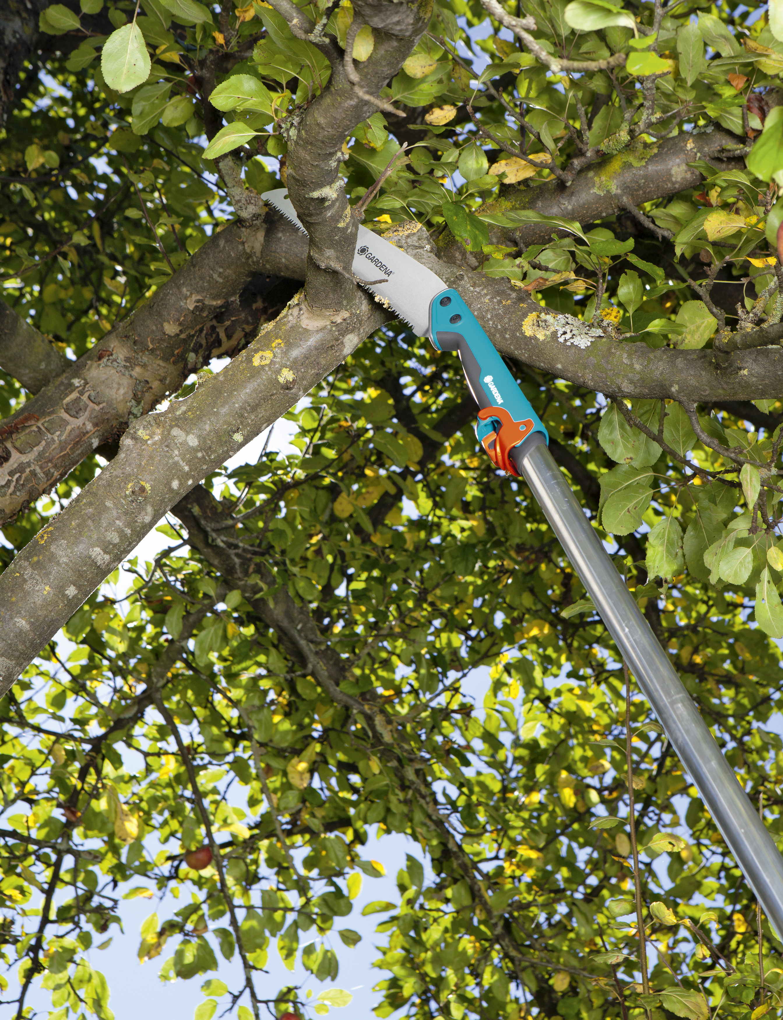 CS Garden Saw Assortment