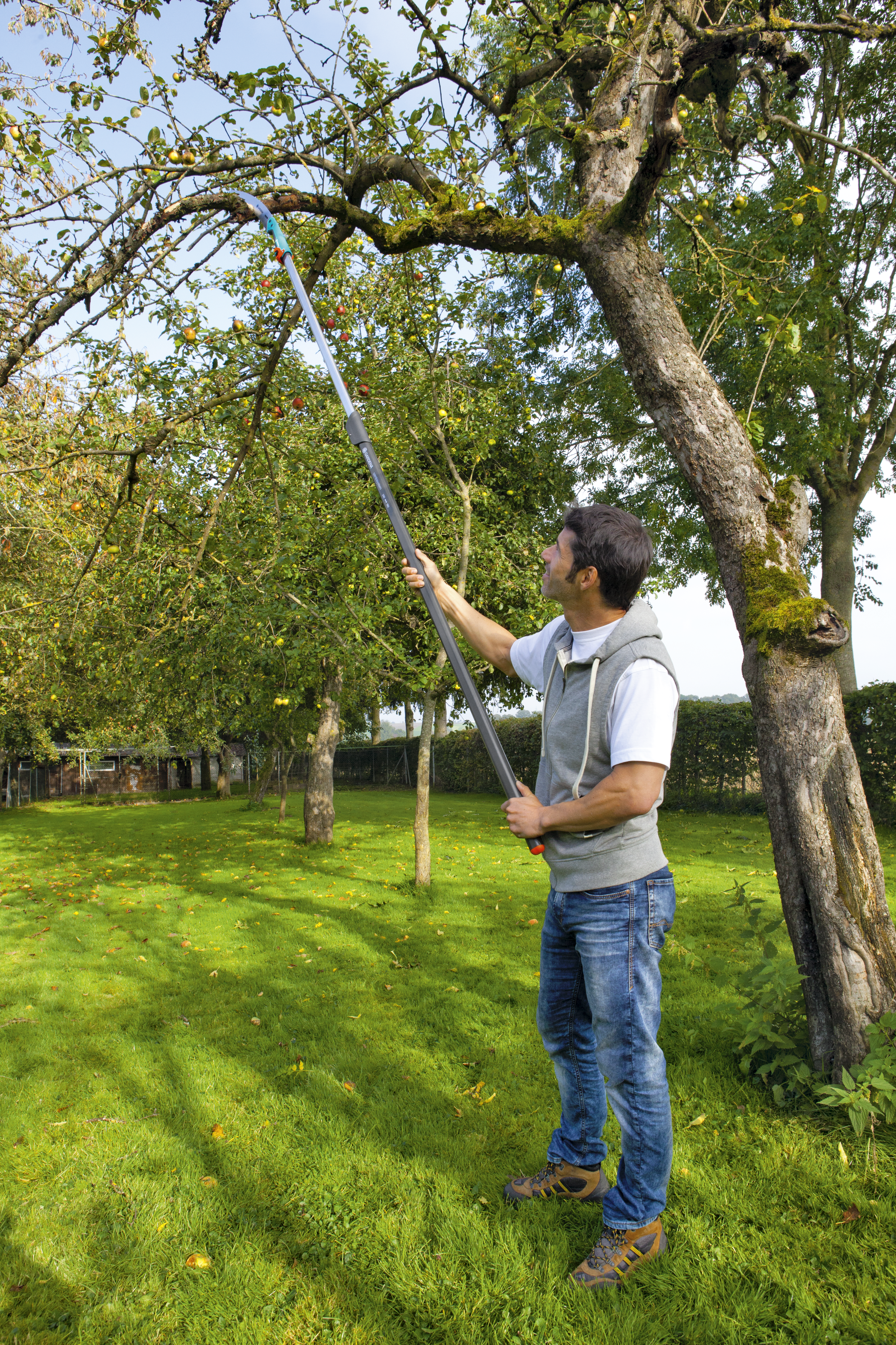 Fierastrau combisistem 300 P curbat