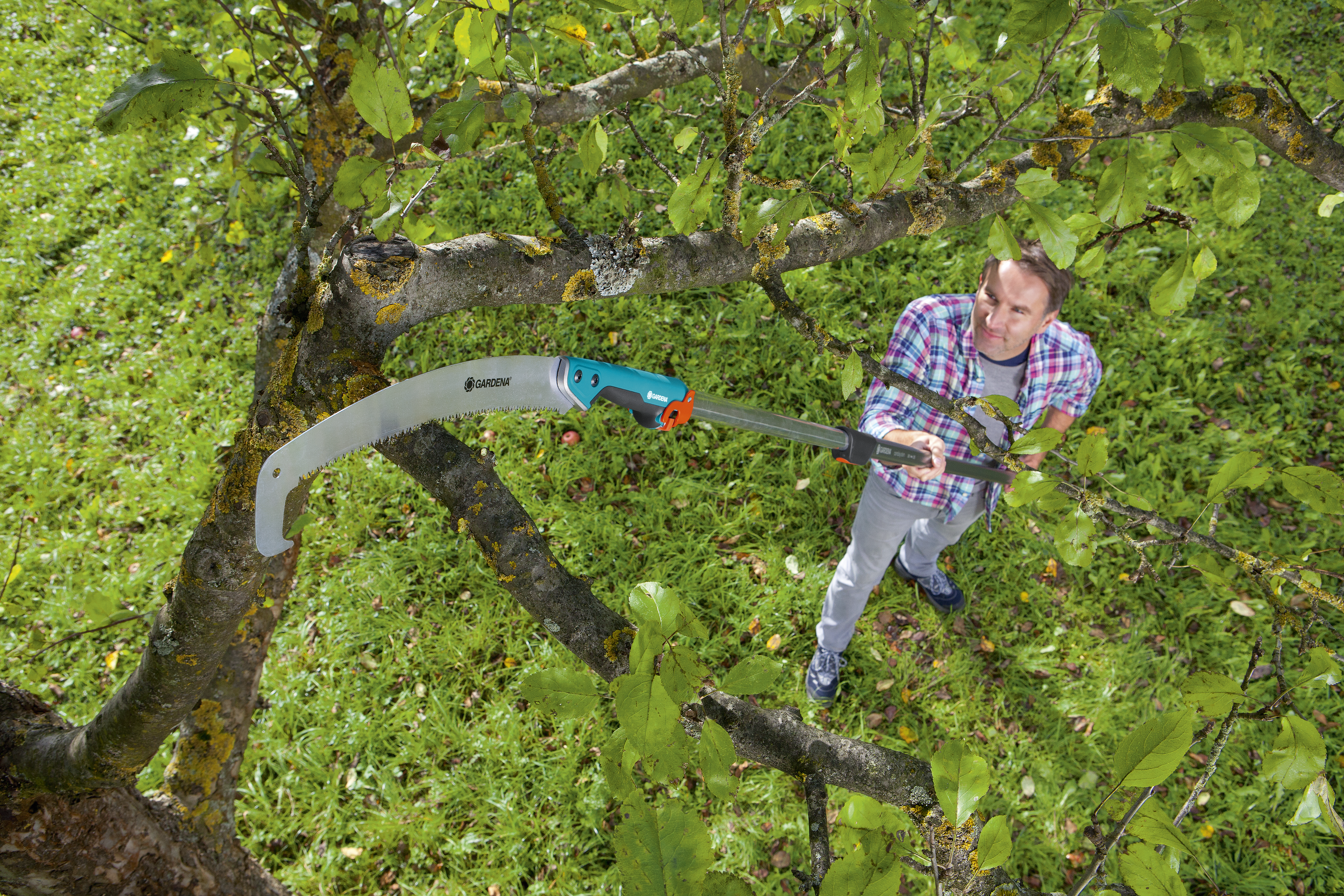 CS Garden saw 300 PP curved