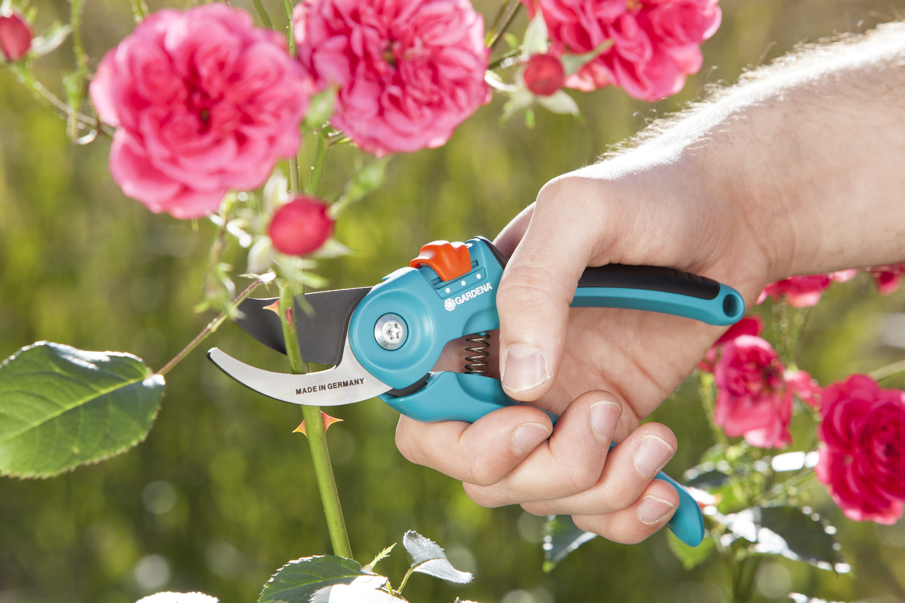 Sodo sekatorius B/S-M