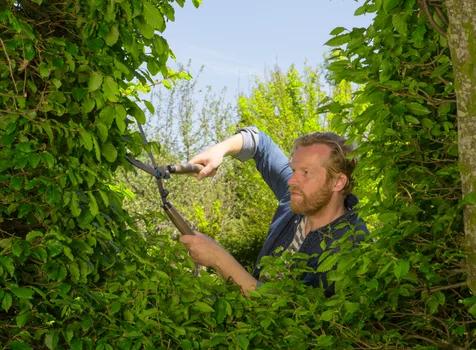 Cisaille À Haies Manche Bois Gardena 12300-20 – Lames Ondulées Anti-Adhérentes - vue 8