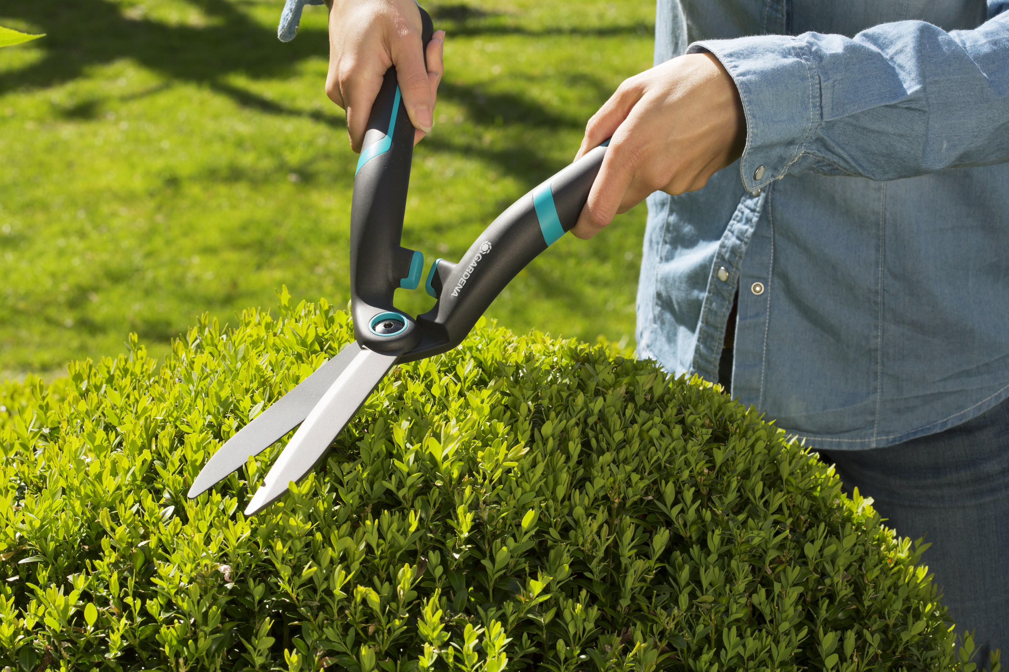 Hedge Clipper PrecisionCut