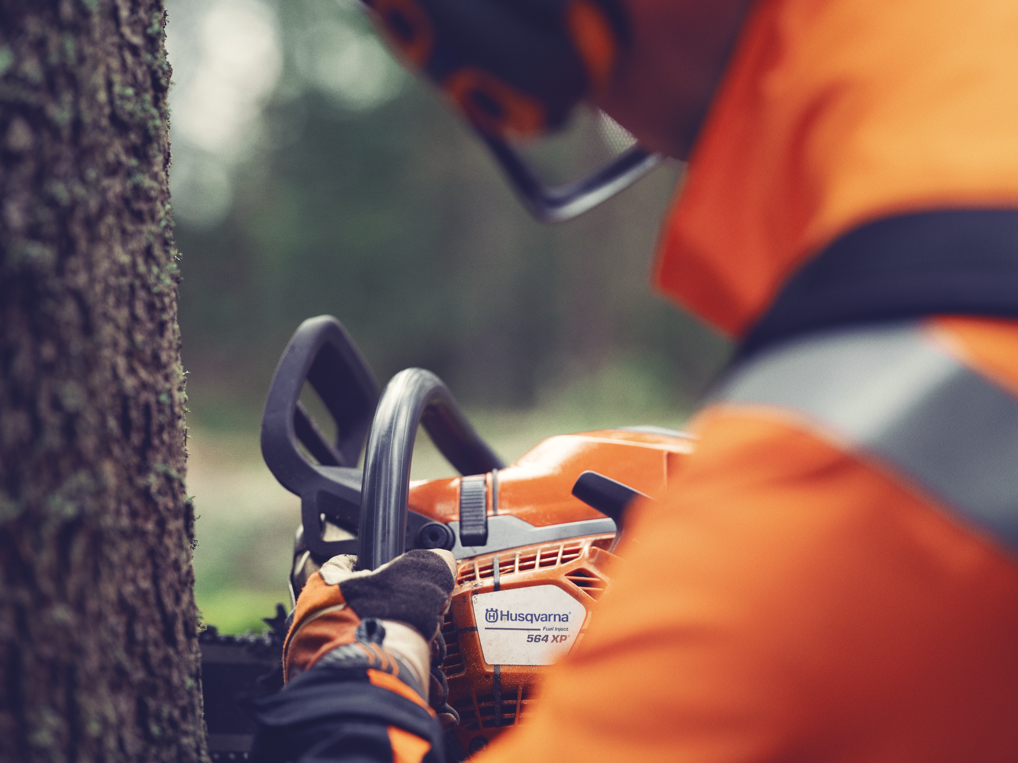 Felling sight to last a lifetime