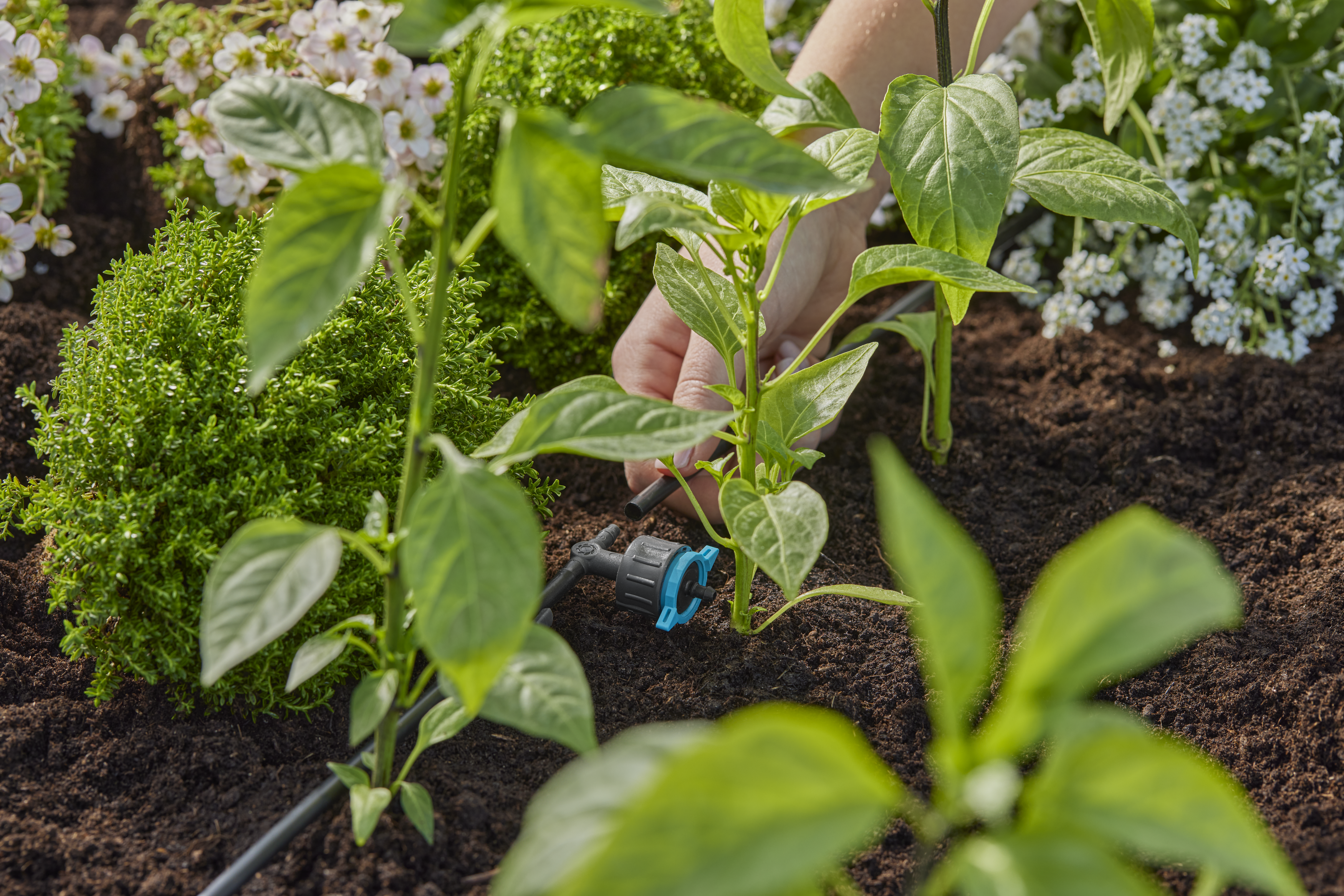 Regulovateľn&yacute; radov&yacute; kvapkač