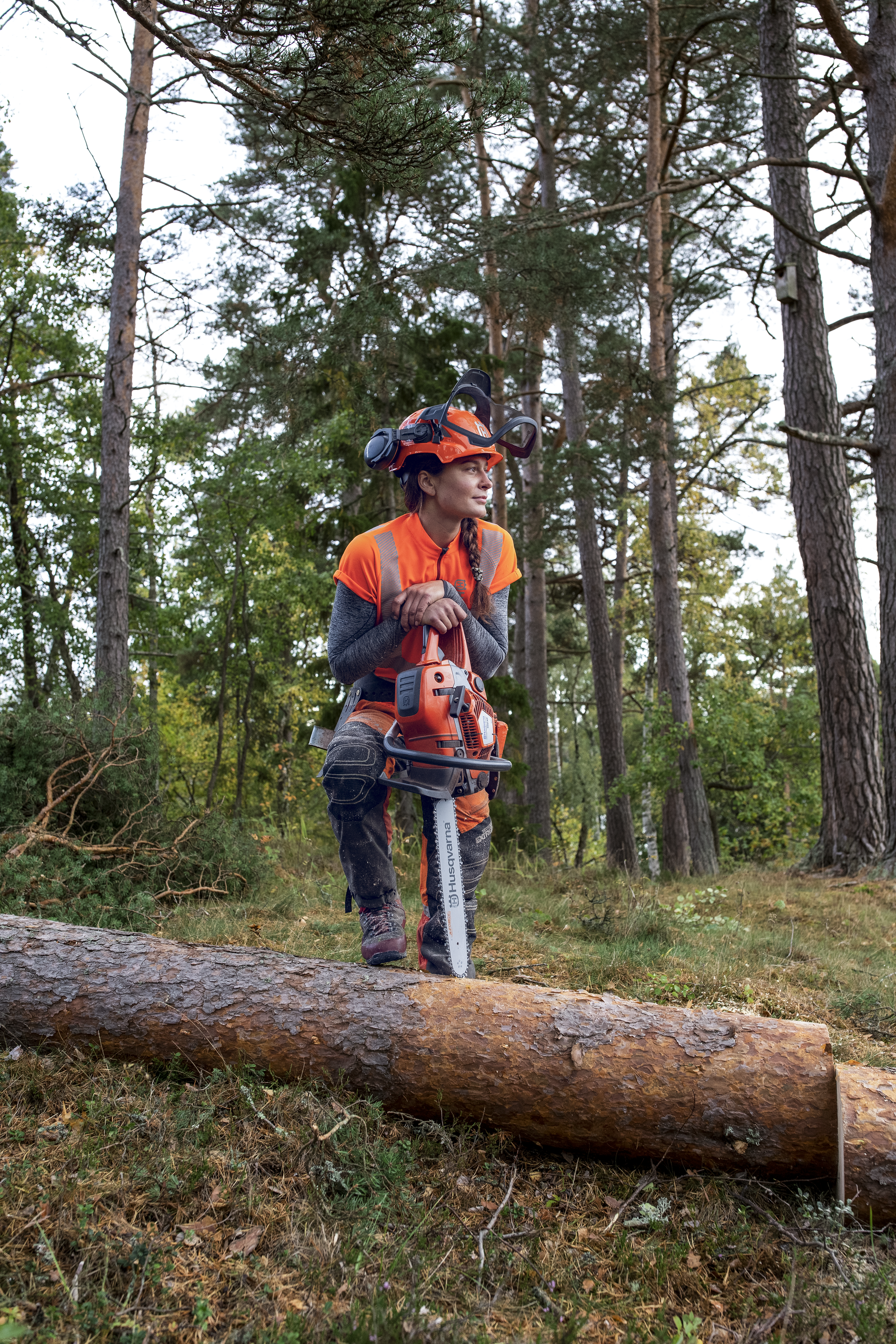 HUSQVARNA 550 XP® G Mark II — fotografie 1