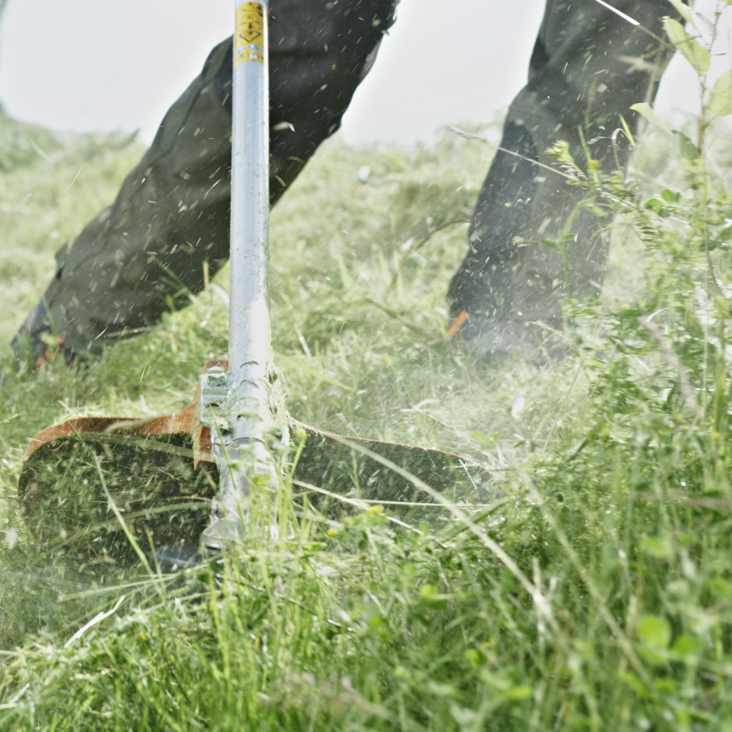 Outstanding cutting capacity