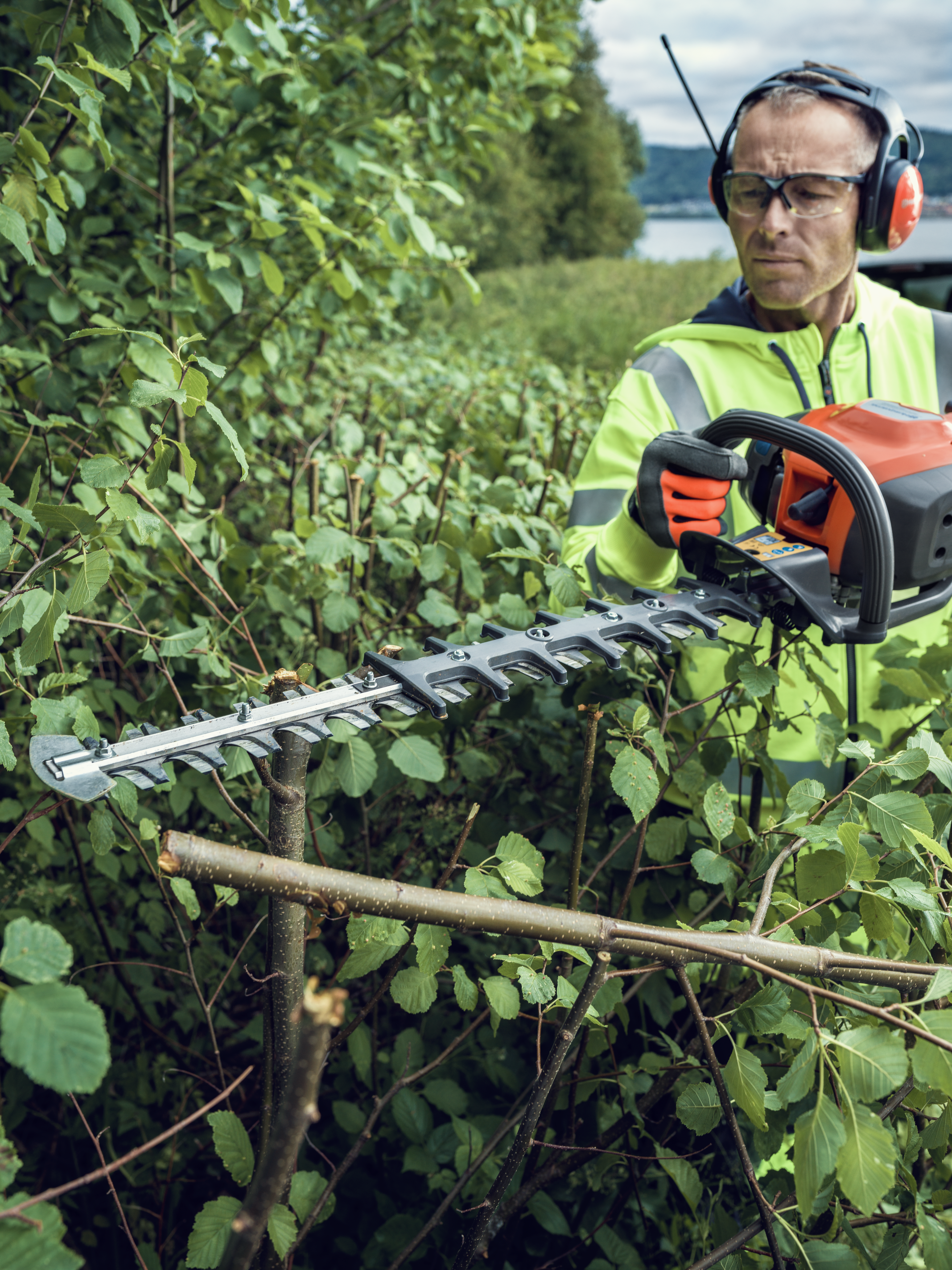 Take on the overgrown