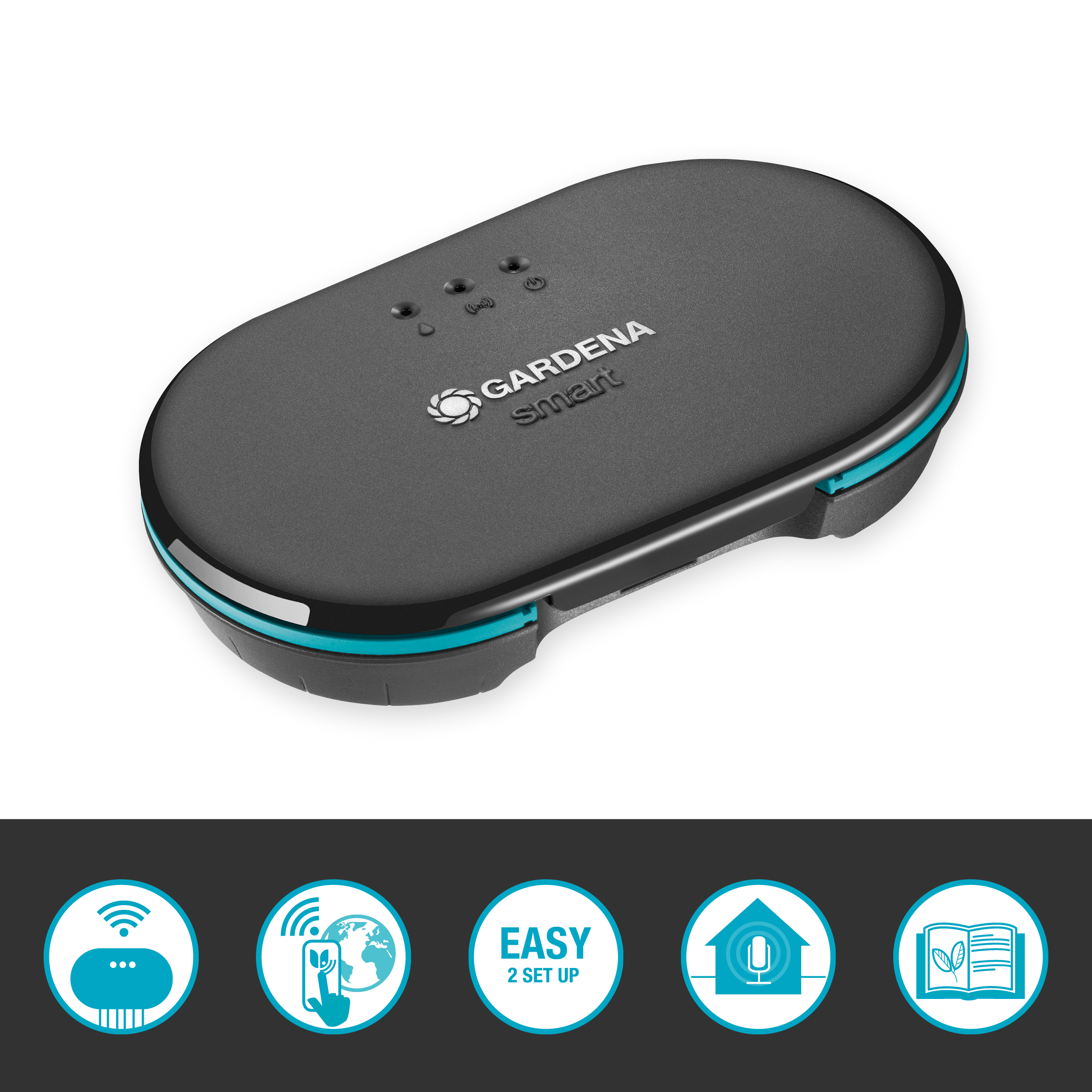 &quot;Smart&quot; Laistymo sistemos valdymo kompiuteris