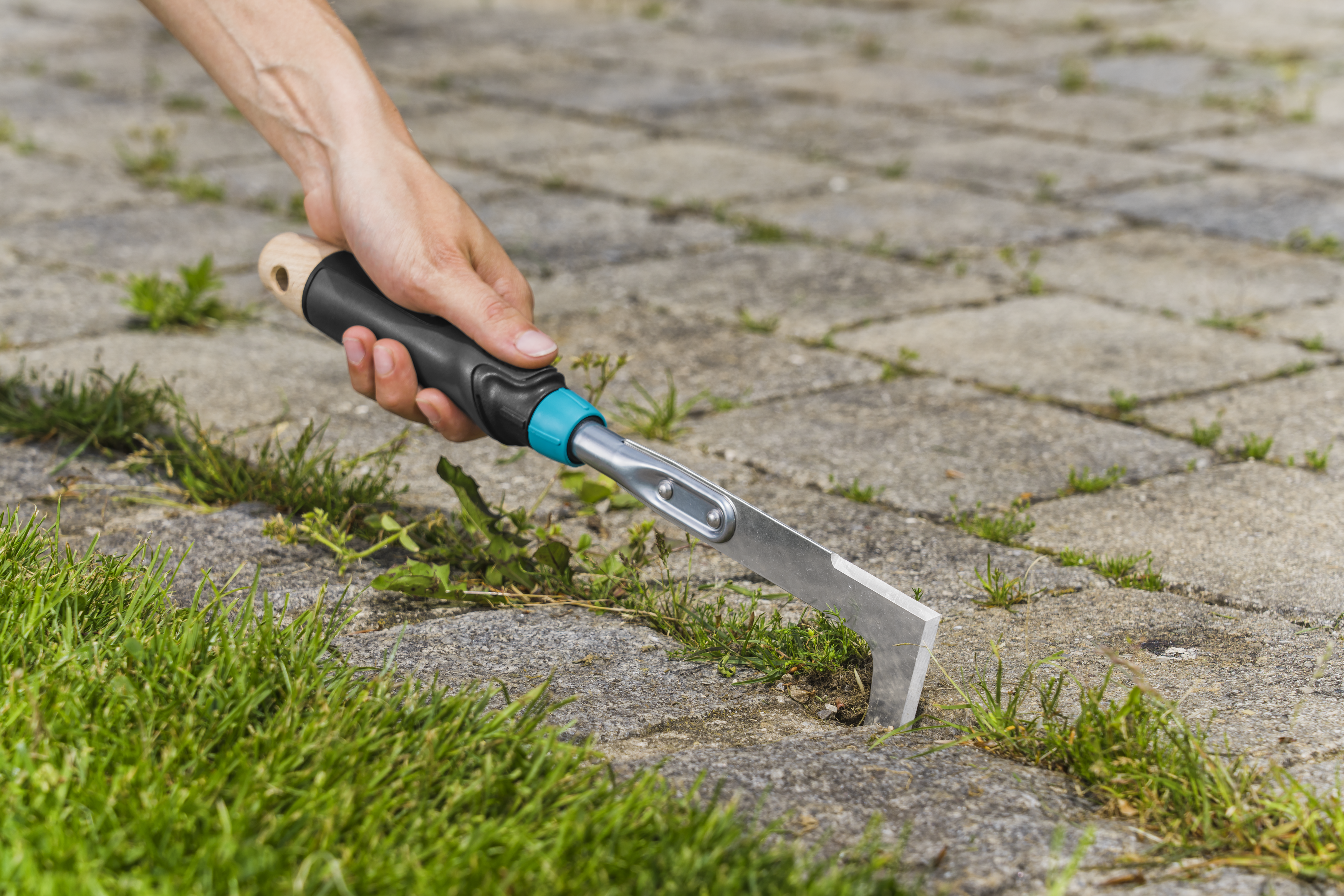 &Mu;&Alpha;&Chi;&Alpha;&Iota;&Rho;&Iota; &Alpha;&Iota;&Theta;&Rho;&Iota;&Omicron;&Upsilon; ECOLINE