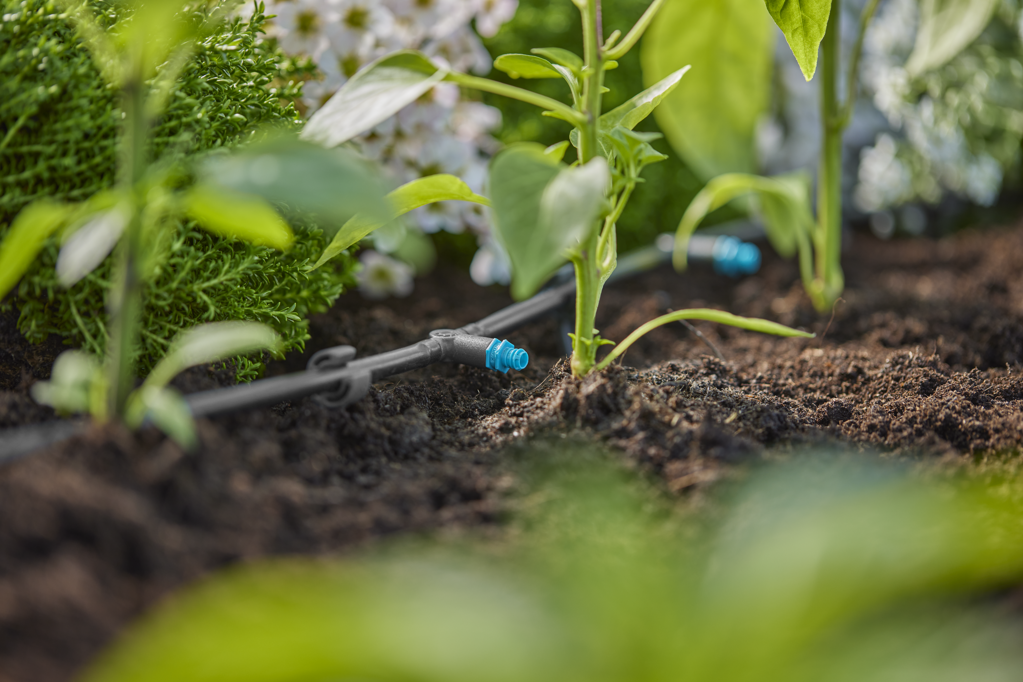 Goutteur en ligne auto-r&eacute;gulant 2 l/h