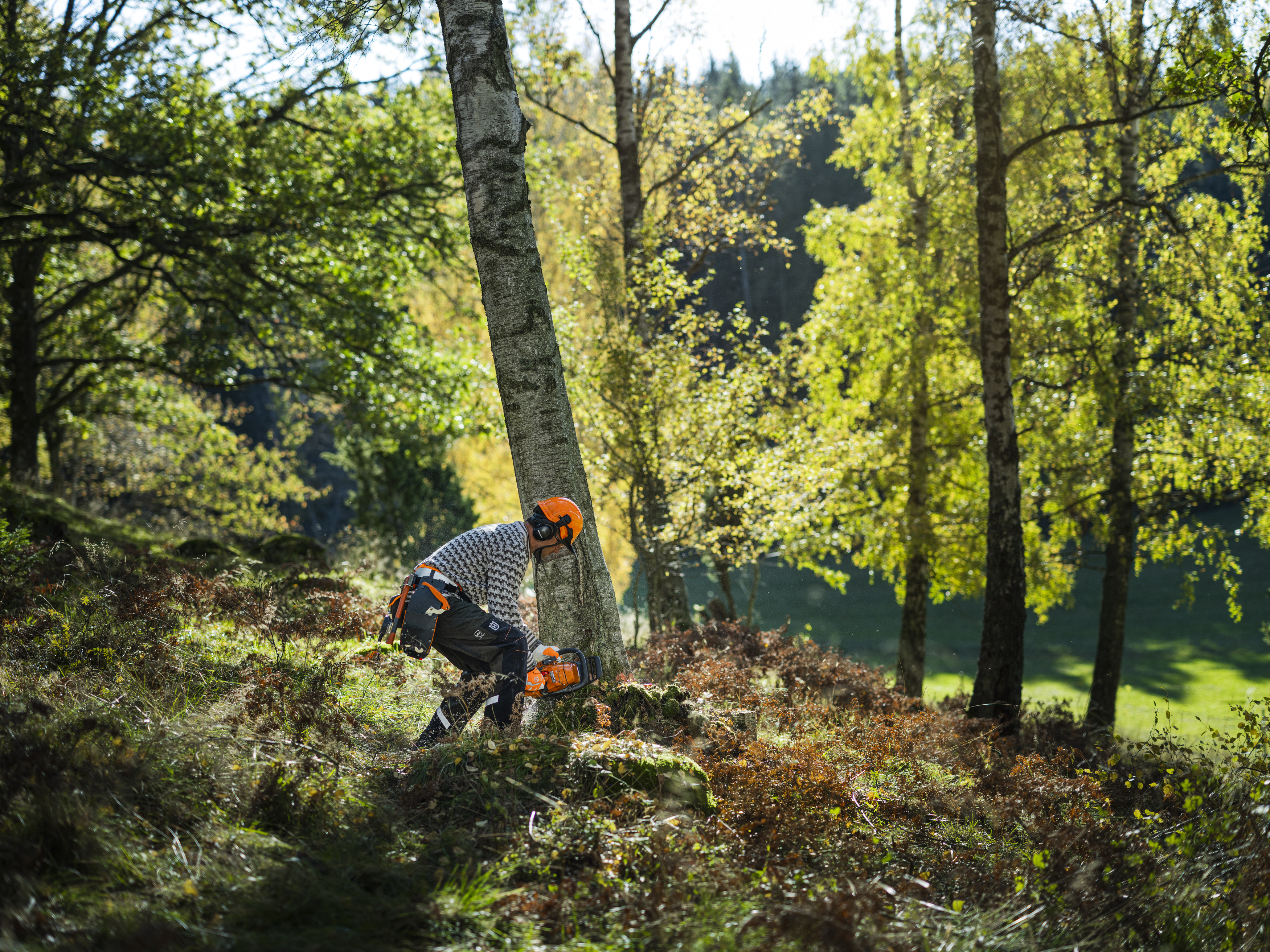 Husqvarna 450S — fotografie 3