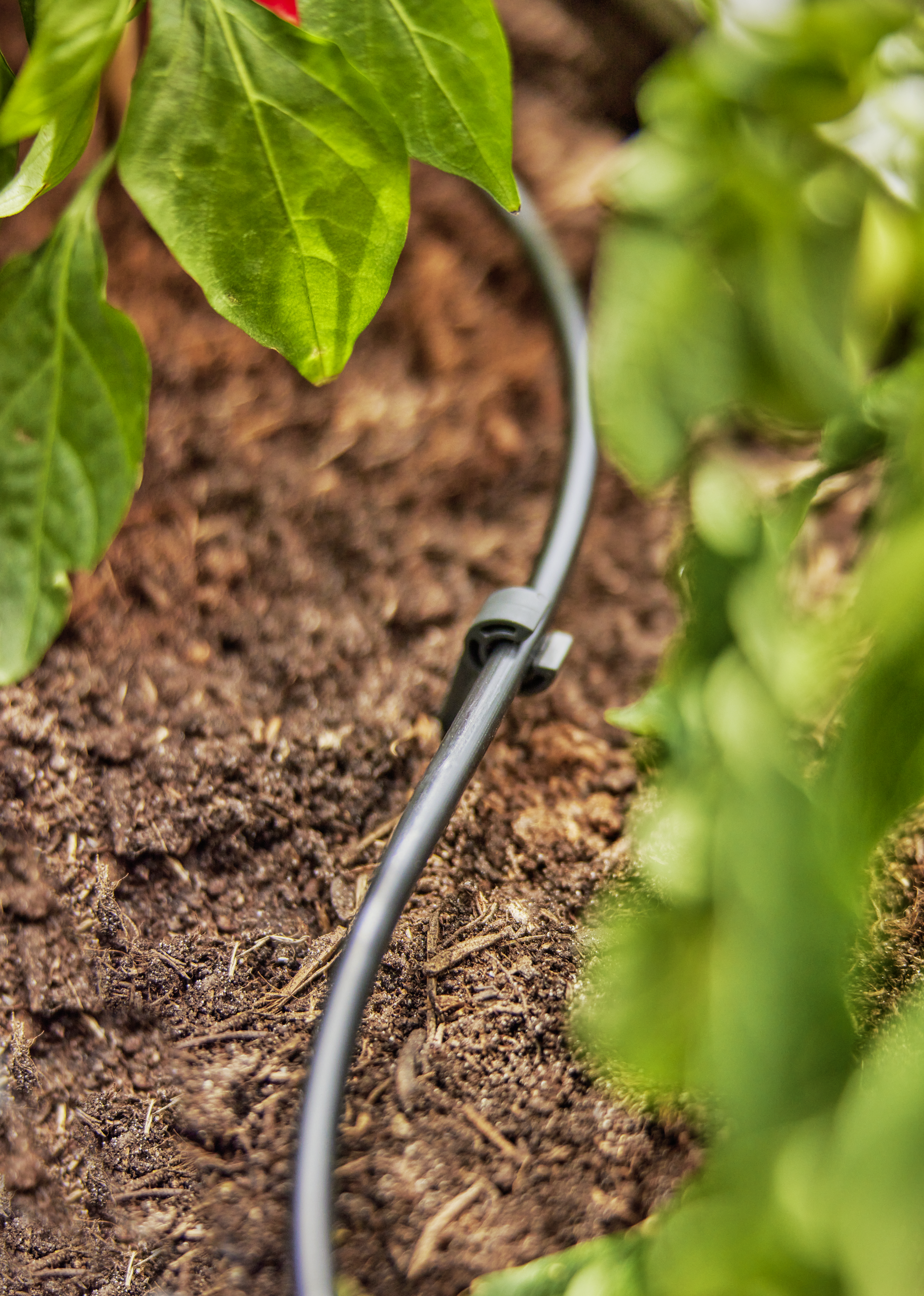 Supply Pipe 4.6 mm (3/16")