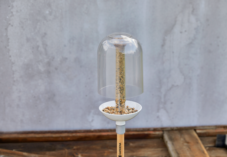 ClickUp! BirdFeeder