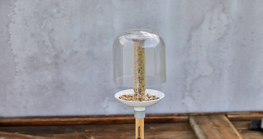 ClickUp! BirdFeeder