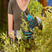 Shrubcare Glove M