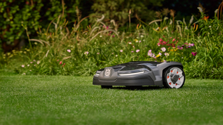 Zóna obnovy divokej prírody