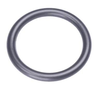 O-Ring 16,6x2,4