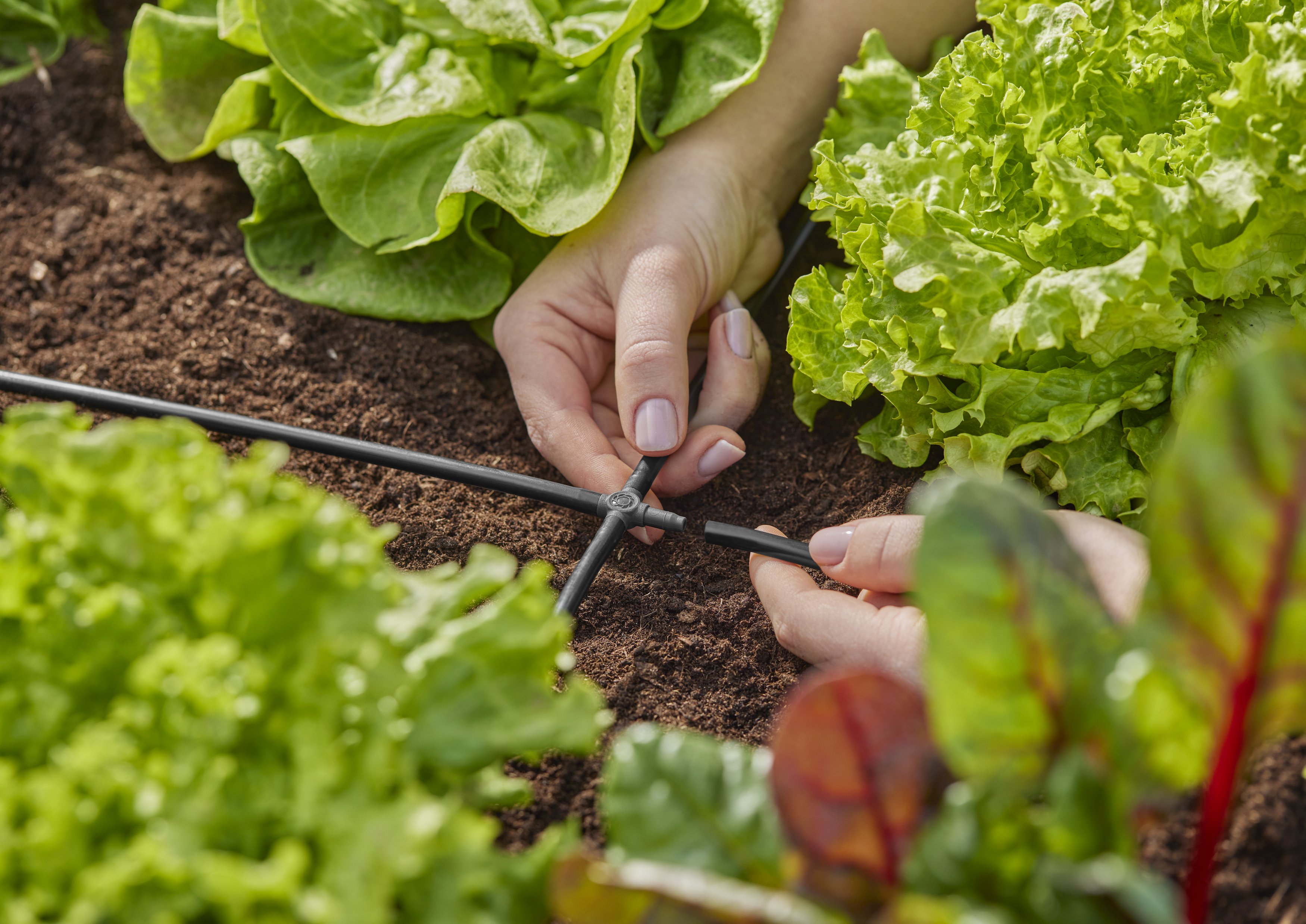 D&eacute;rivation en croix 4.6 mm