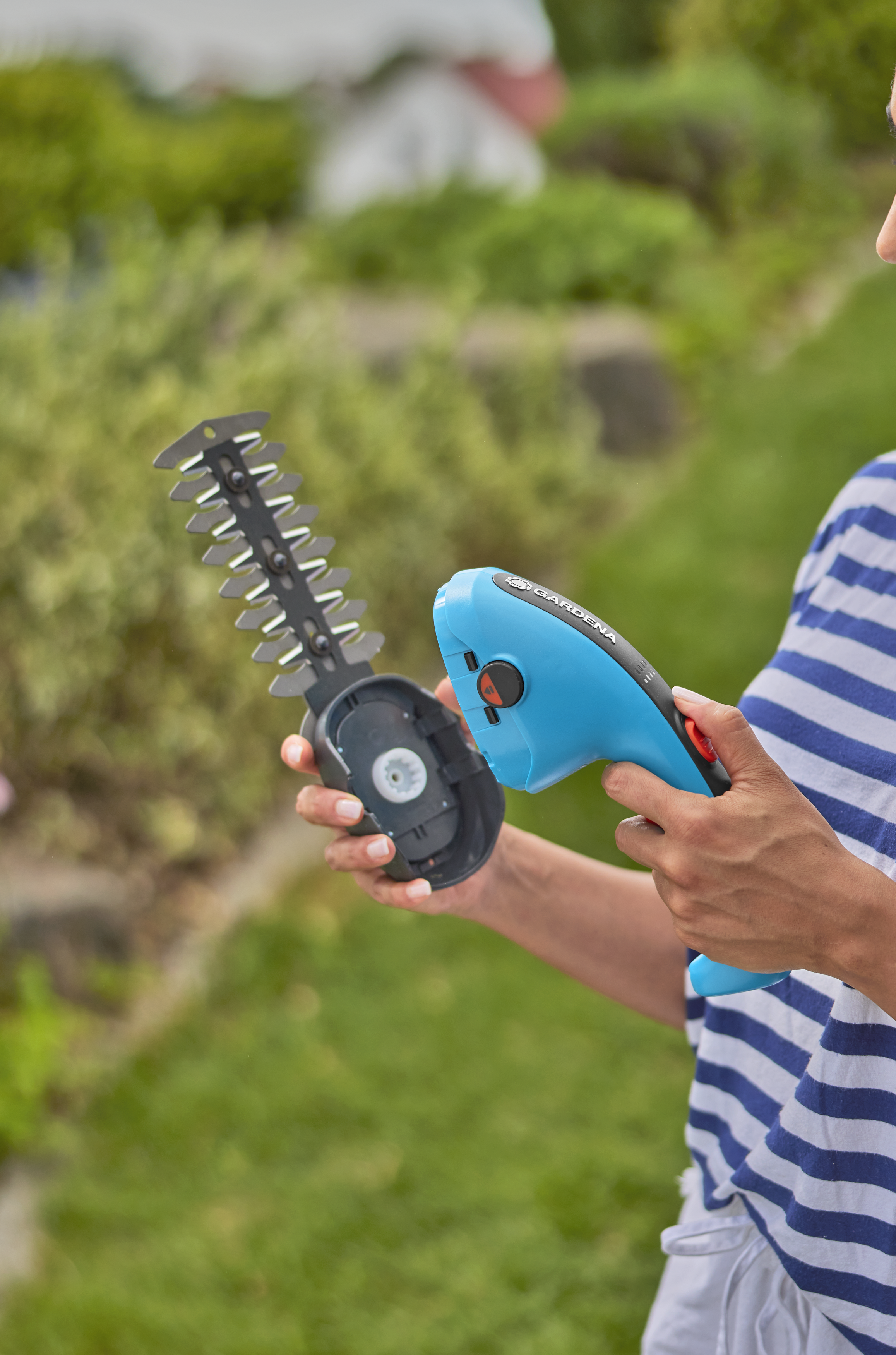 Kit cisaille &agrave; gazon ClassicCut Li + lame taille-buissons