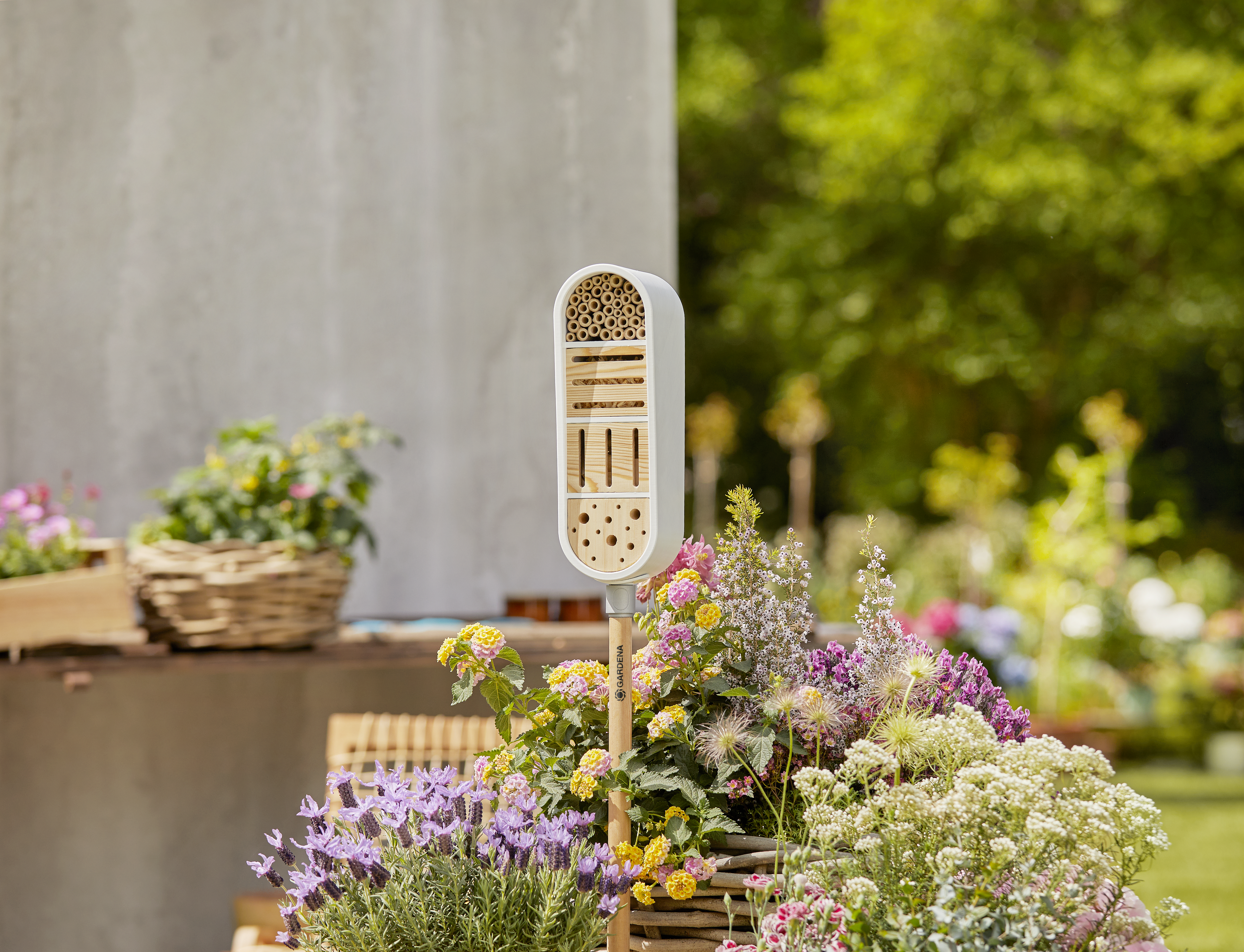 ClickUp!hmyz&iacute; hotel