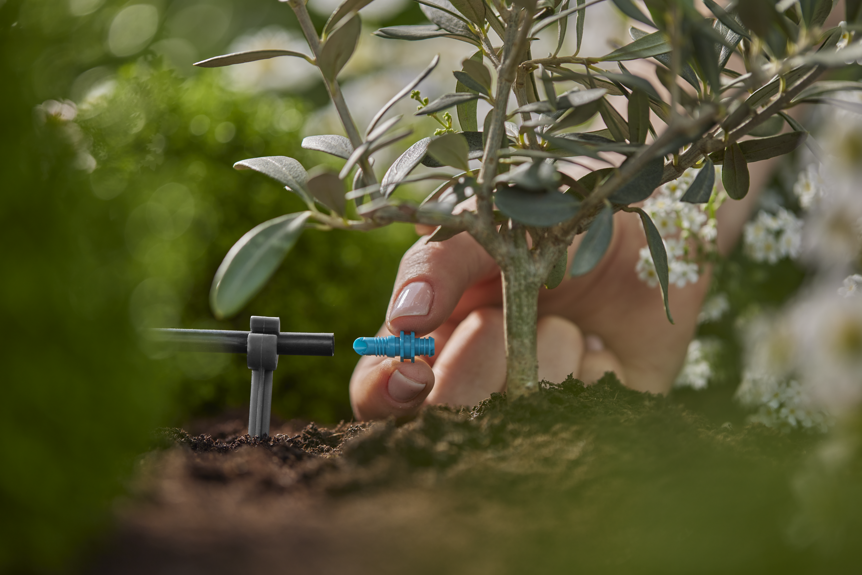 Končni kapljalnik 2 l/h