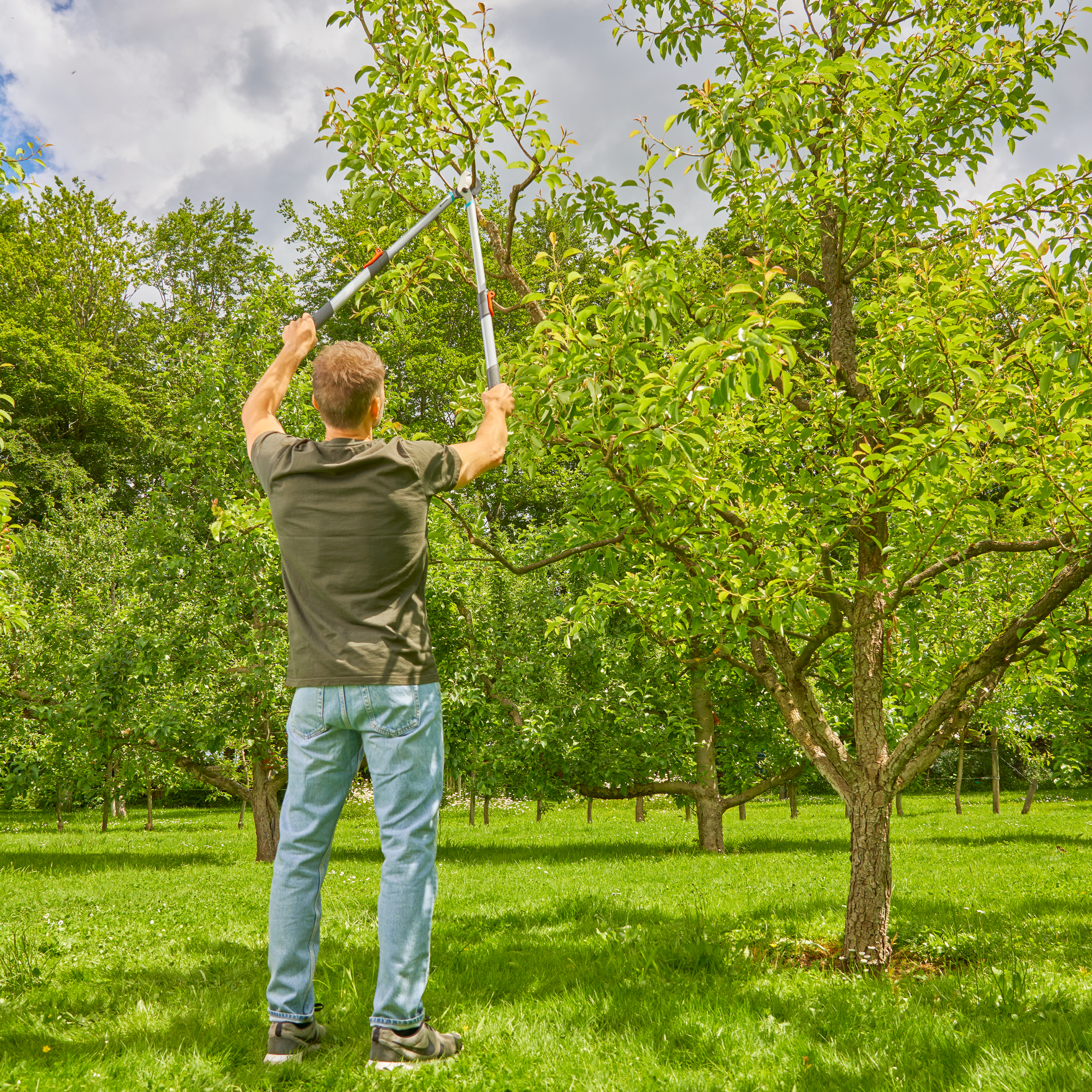 TeleCut Basic, teleskopinės genėjimo žirklės &scaron;viežiai medienai