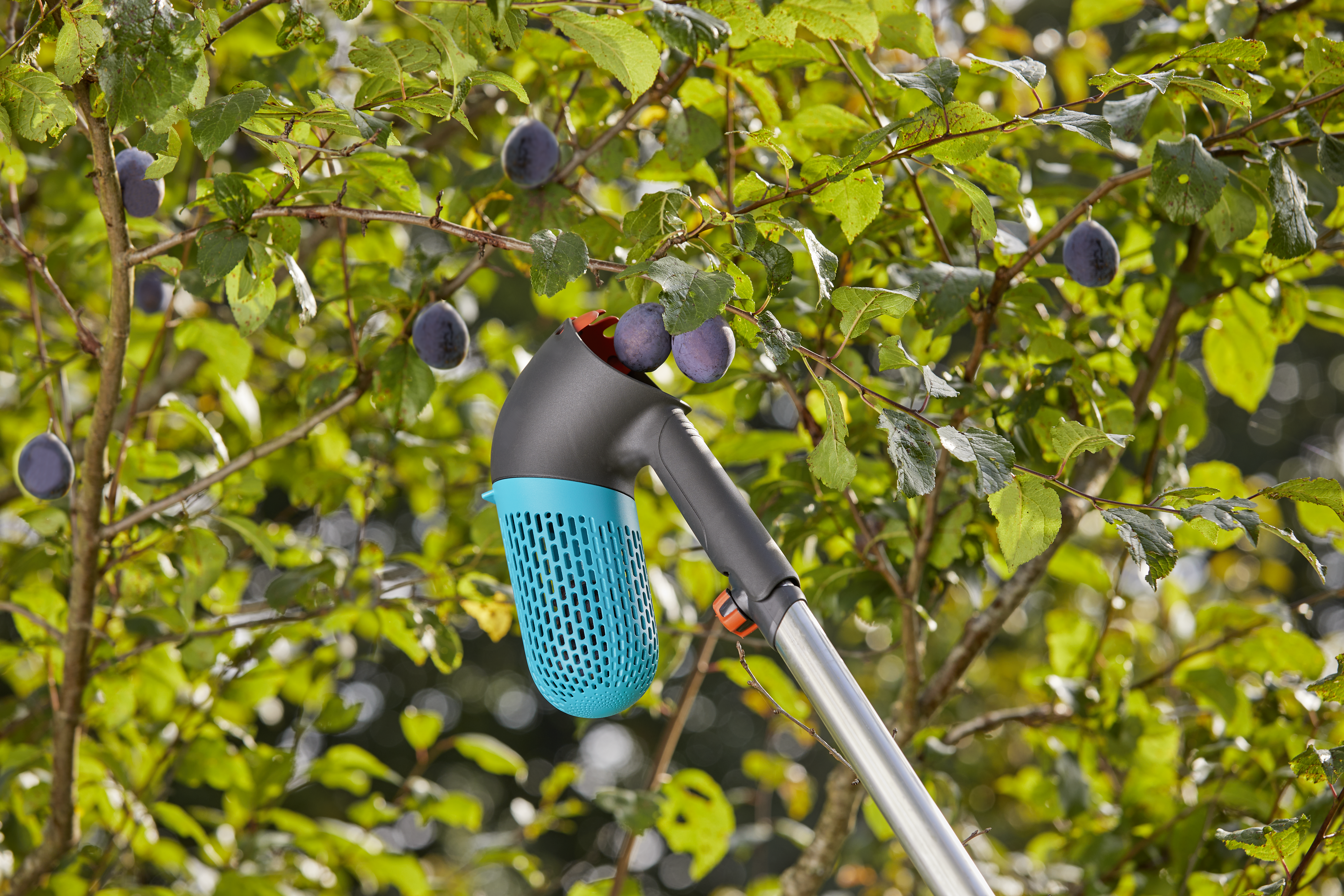 combisystem Berry Picker