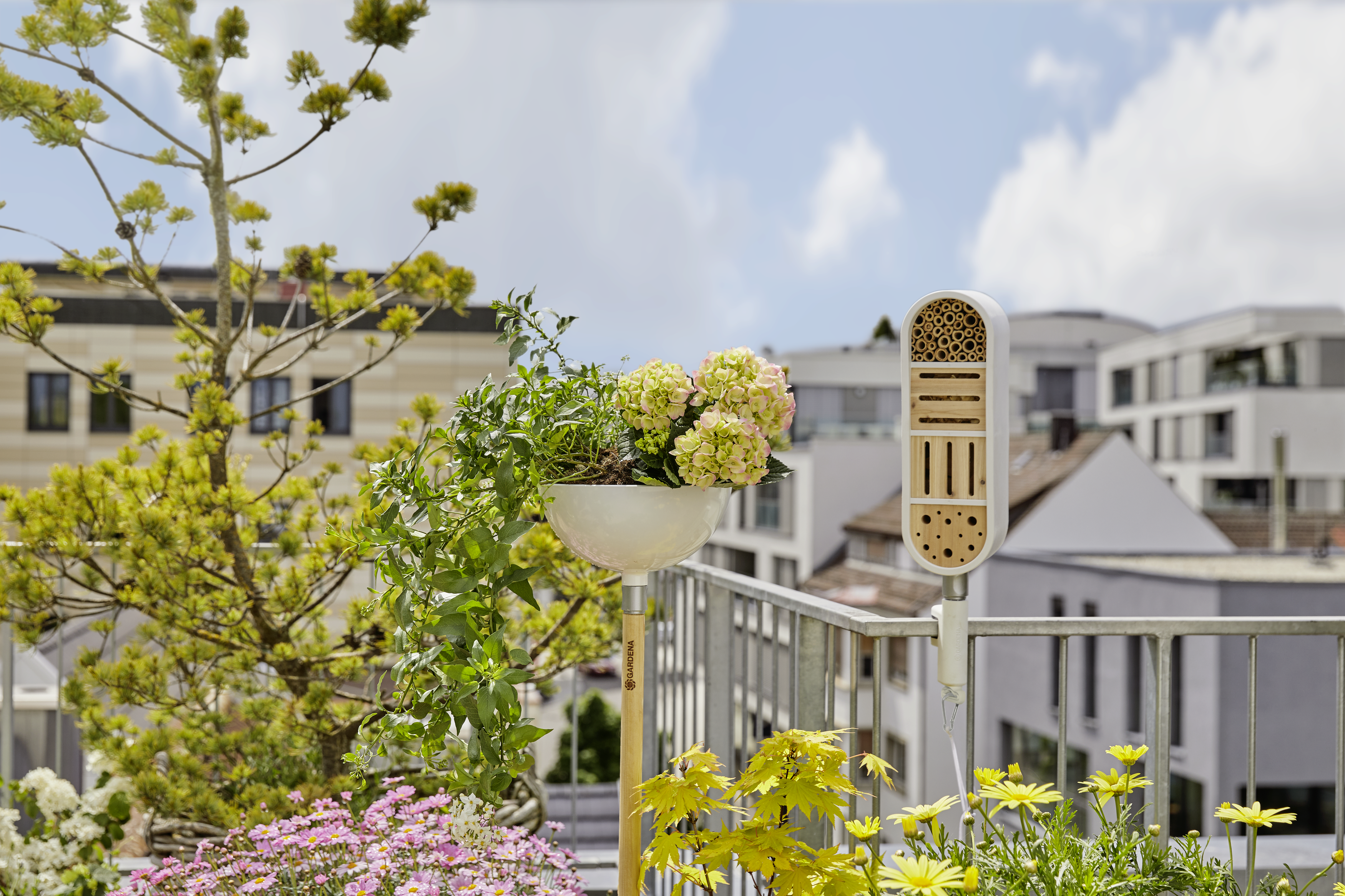 ClickUp!hmyz&iacute; hotel