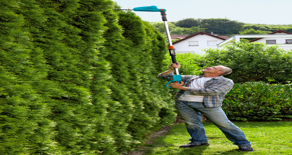 Battery Telescopic Hedge Trimmer THS 42/18V P4A solo