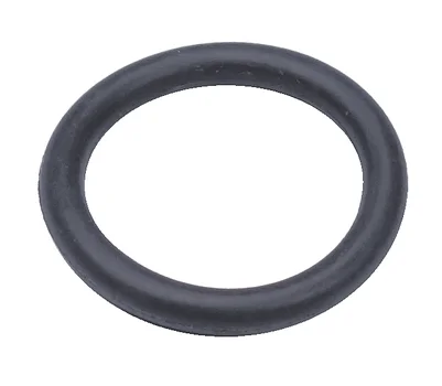 O-Ring 16,9x2,7