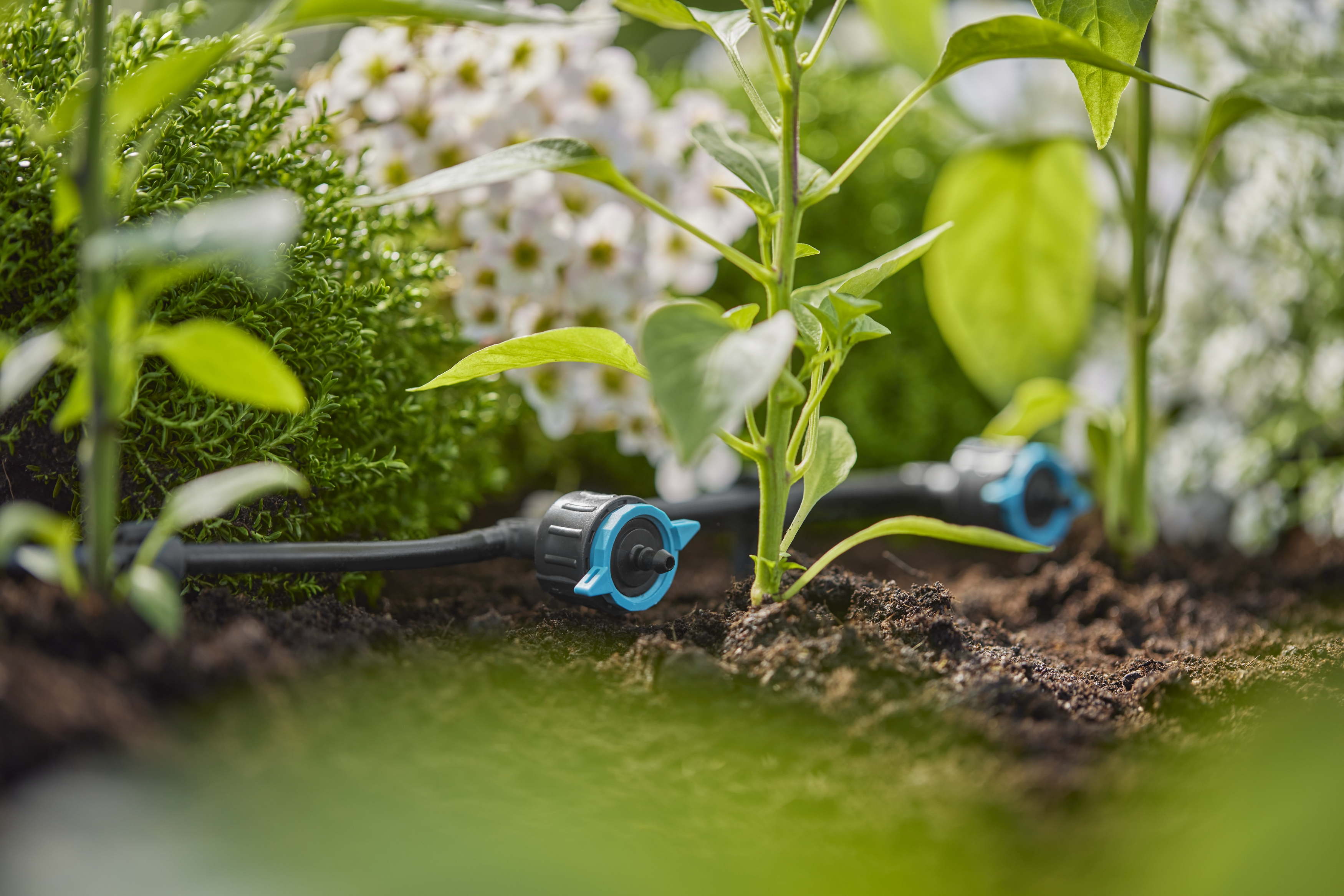 Regulovateľn&yacute; radov&yacute; kvapkač