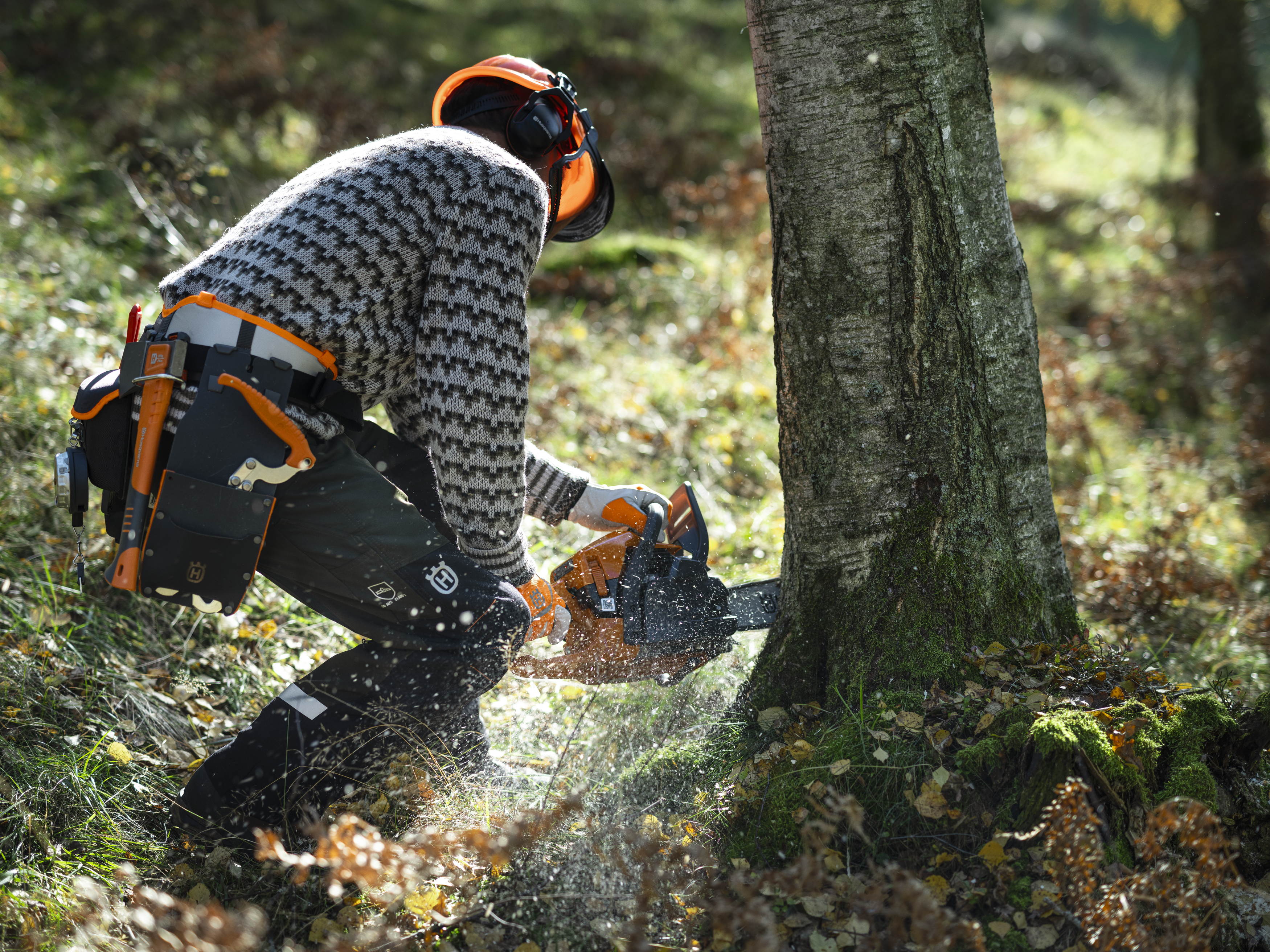 Husqvarna 450S — fotografie 1