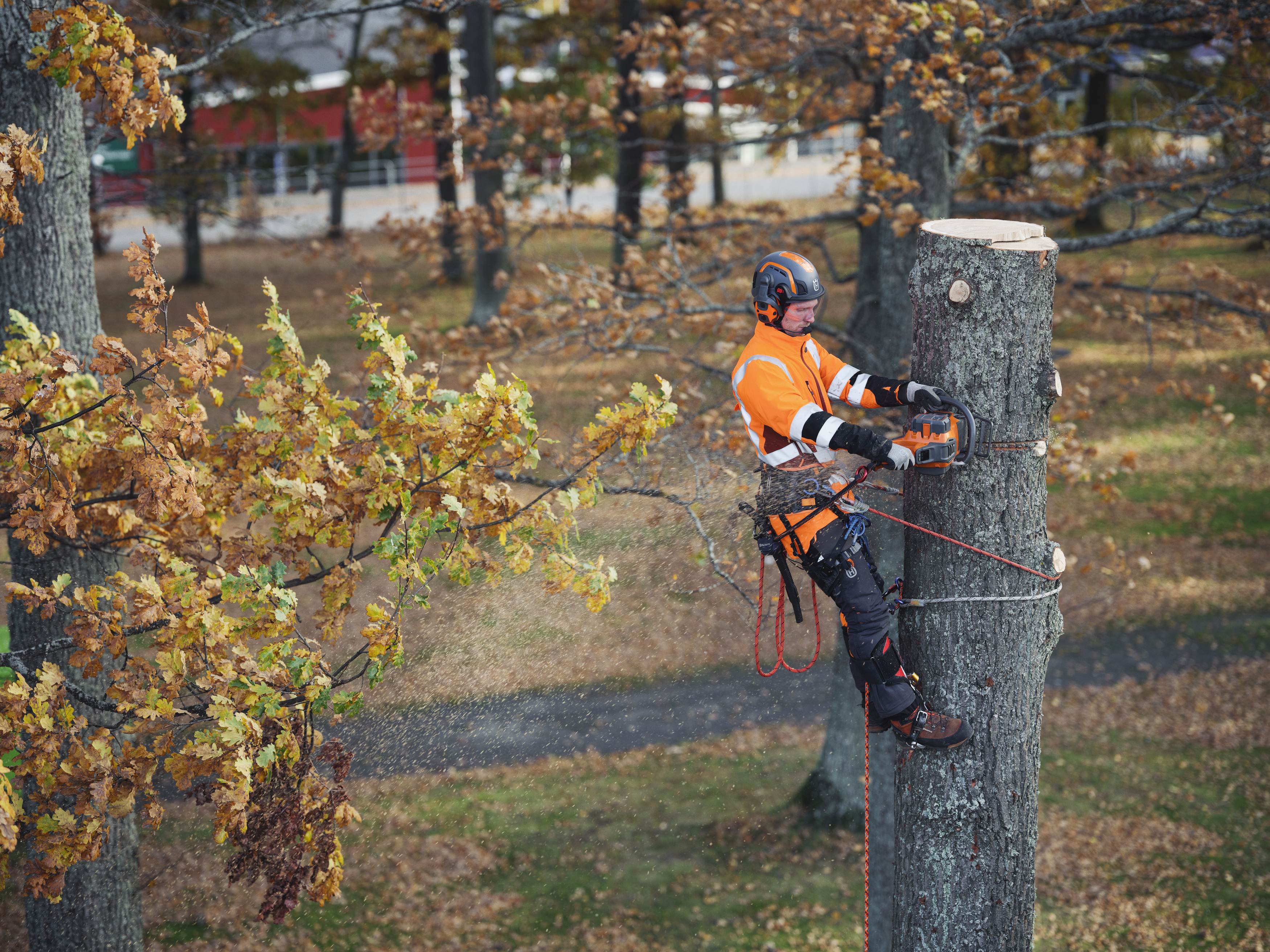 Vylepšené štartovanie