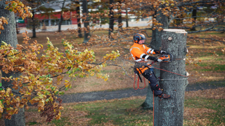 Demontáž, 550i XP s batériou B540X