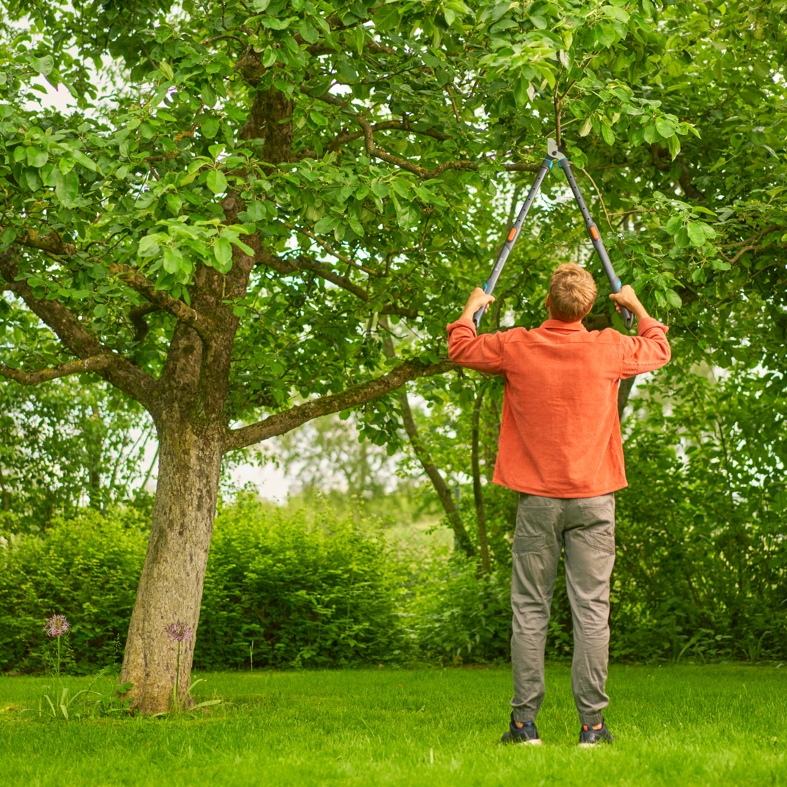 Pruning Lopper TeleCut Pro L