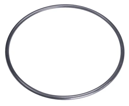 O-Ring 160x6,7