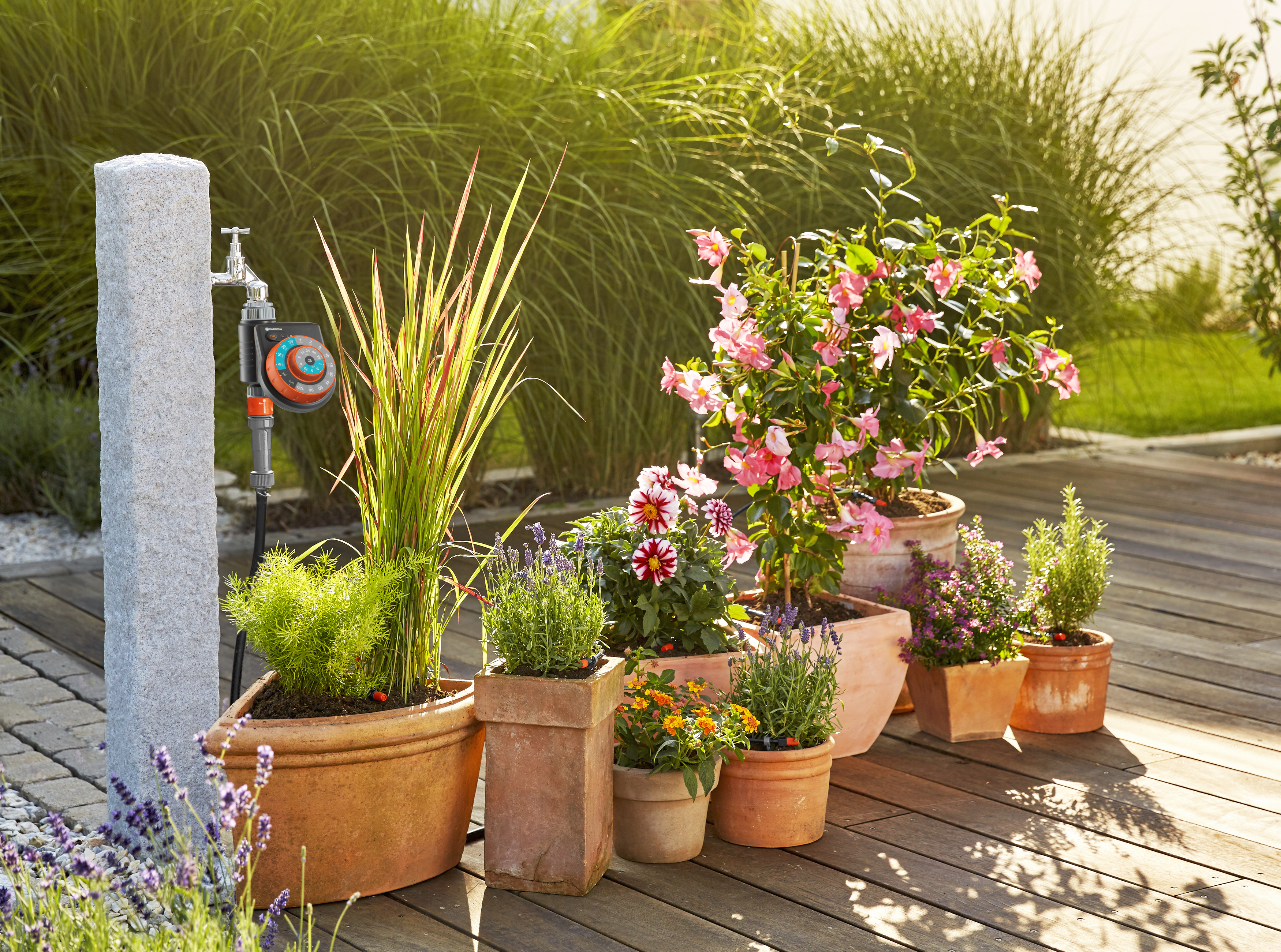 &Sigma;&Epsilon;&Tau; &Pi;&Omicron;&Tau;&Iota;&Sigma;&Mu;&Alpha;&Tau;&Omicron;&Sigma; MICRO-DRIP &Mu;&Epsilon; &Pi;&Rho;&Omicron;&Gamma;&Rho;&Alpha;&Mu;&Mu;&Alpha;&Tau;&Iota;&Sigma;&Tau;&Eta;