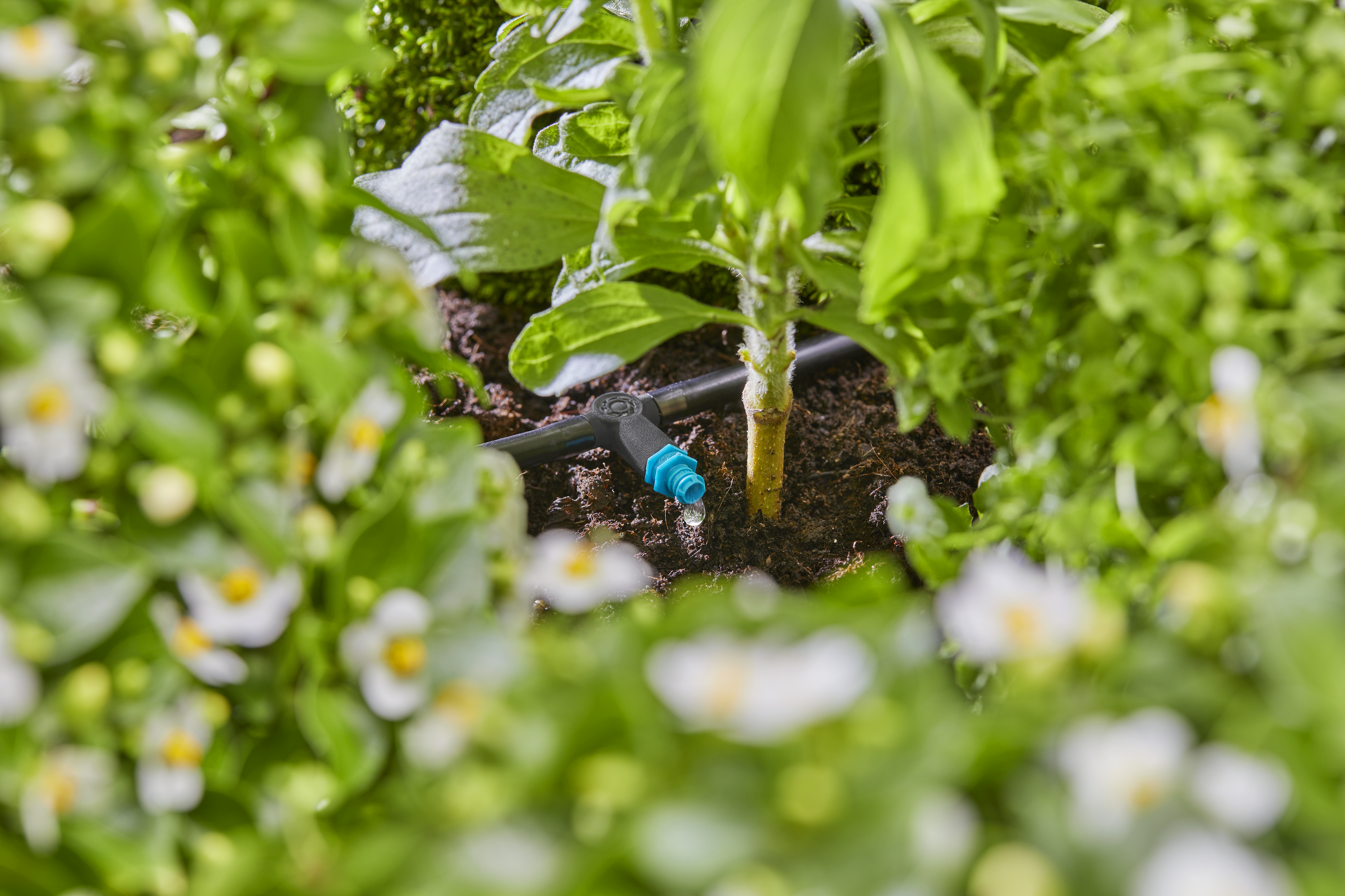 Goutteur en ligne auto-r&eacute;gulant 2 l/h