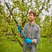 Battery Telescopic Pruning Loppers HighCut 250/18V P4A solo