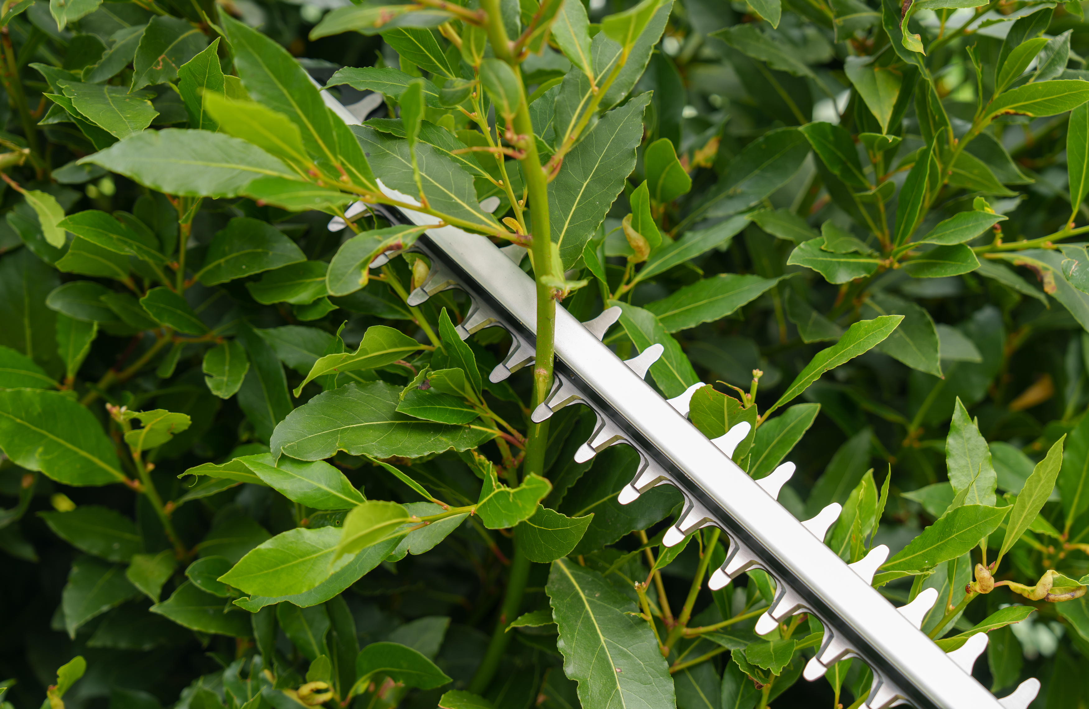 18V SimpliCut 450 (Solo - without battery and charger)