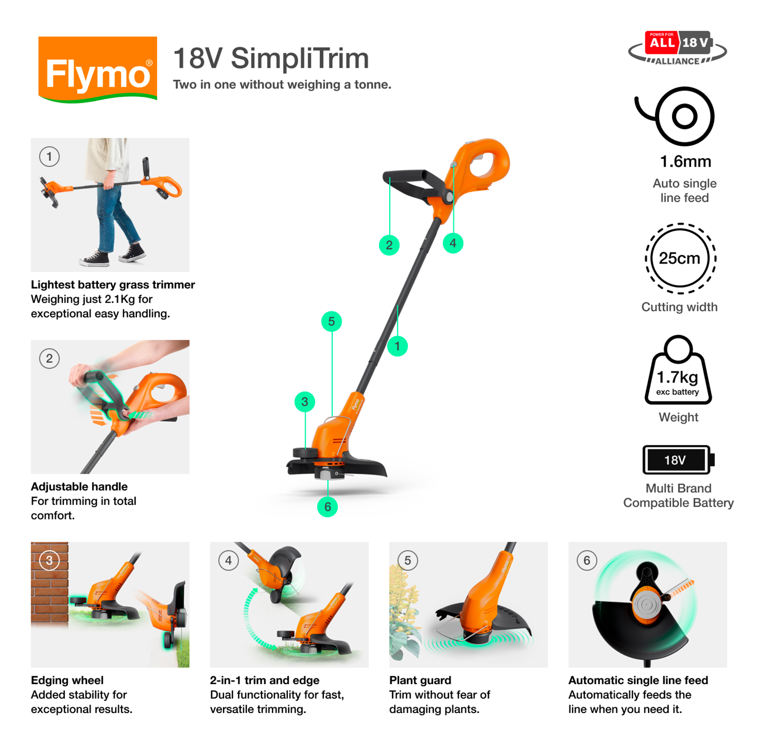 18V SimpliTrim 250 (Solo - without Battery and charger)
