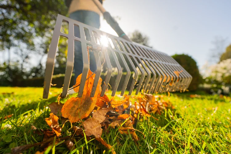 PureLine – grabie, Narzędzia ogrodowe